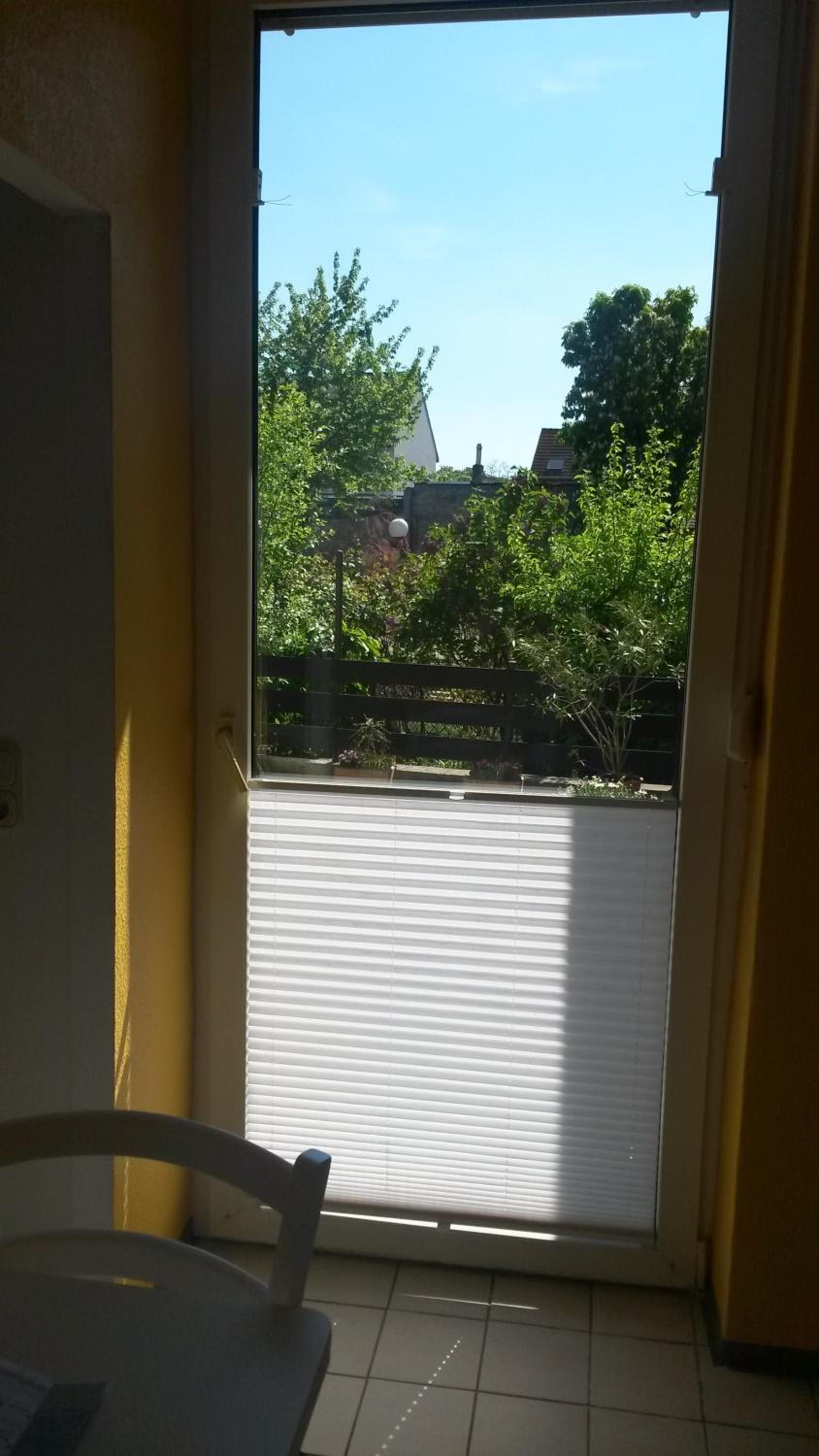 Apartment with Terrace photo 3