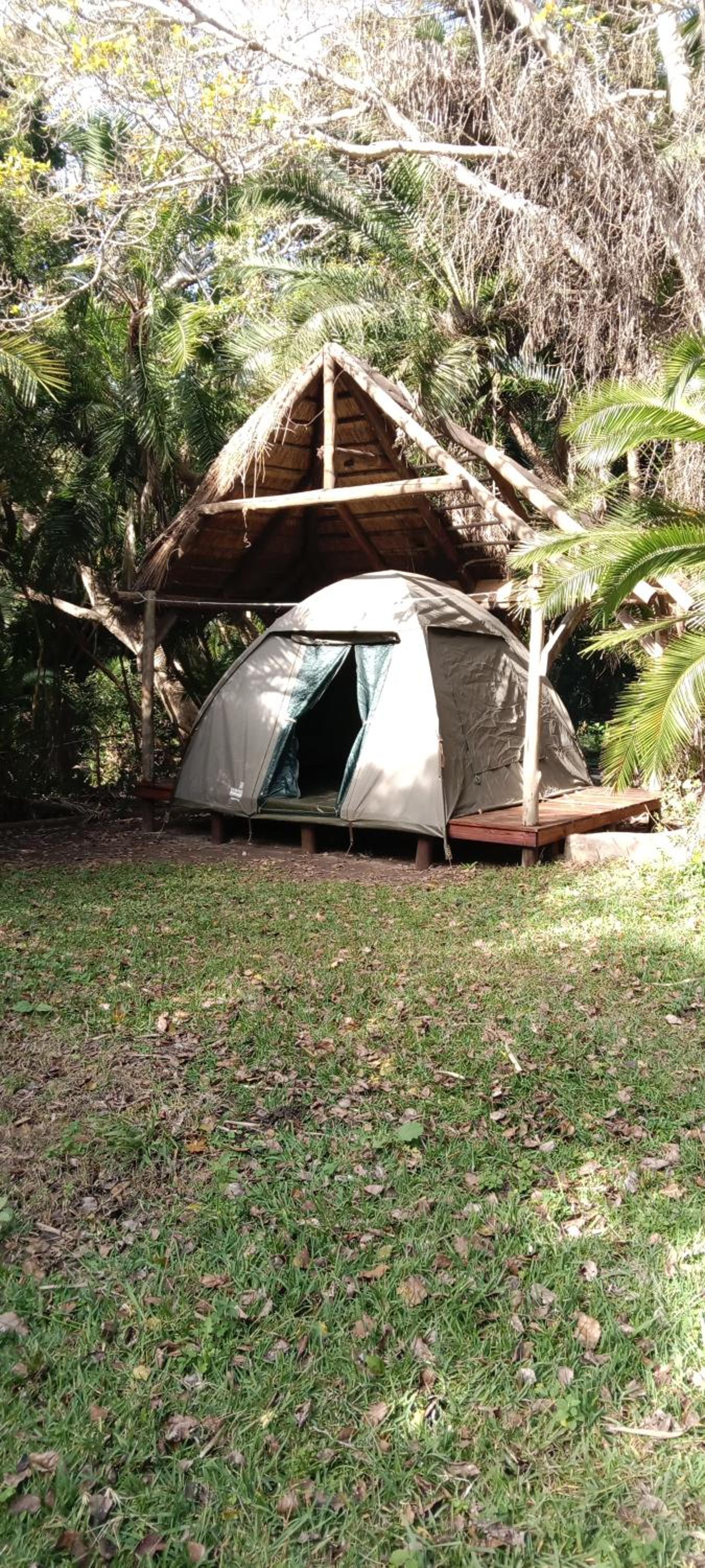 Tent photo 1