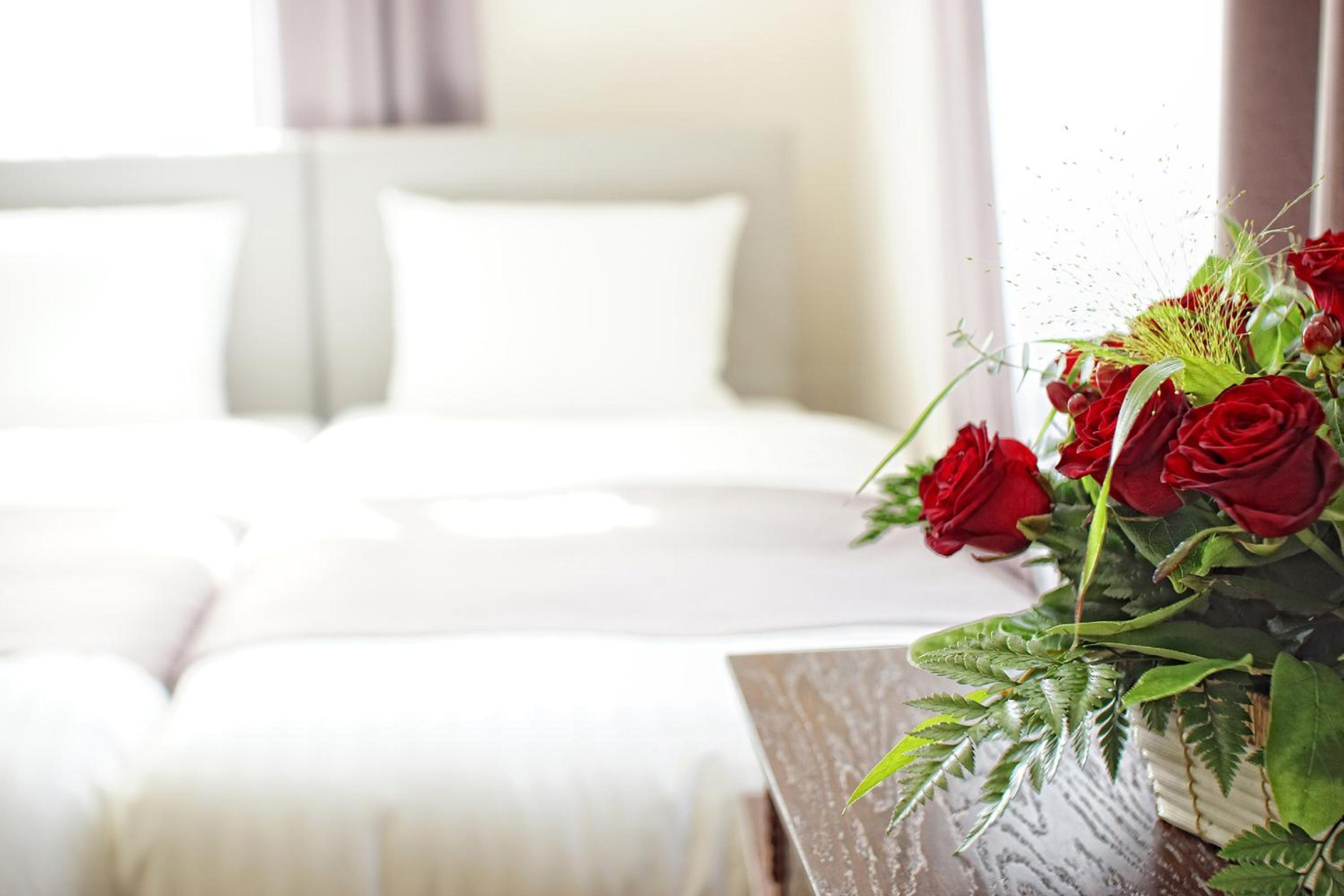 Superior Single Room photo 2