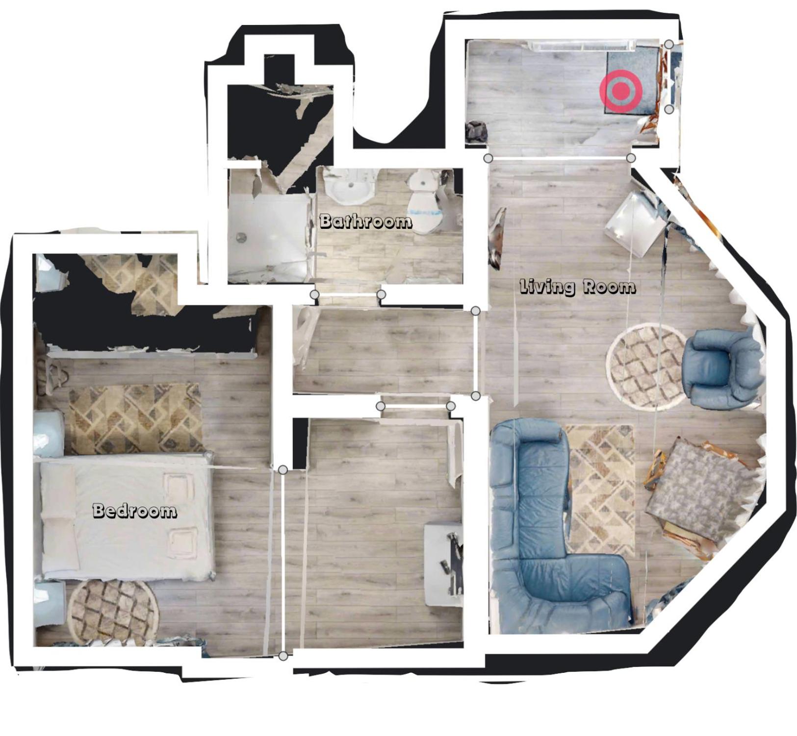 Deluxe One-Bedroom Apartment