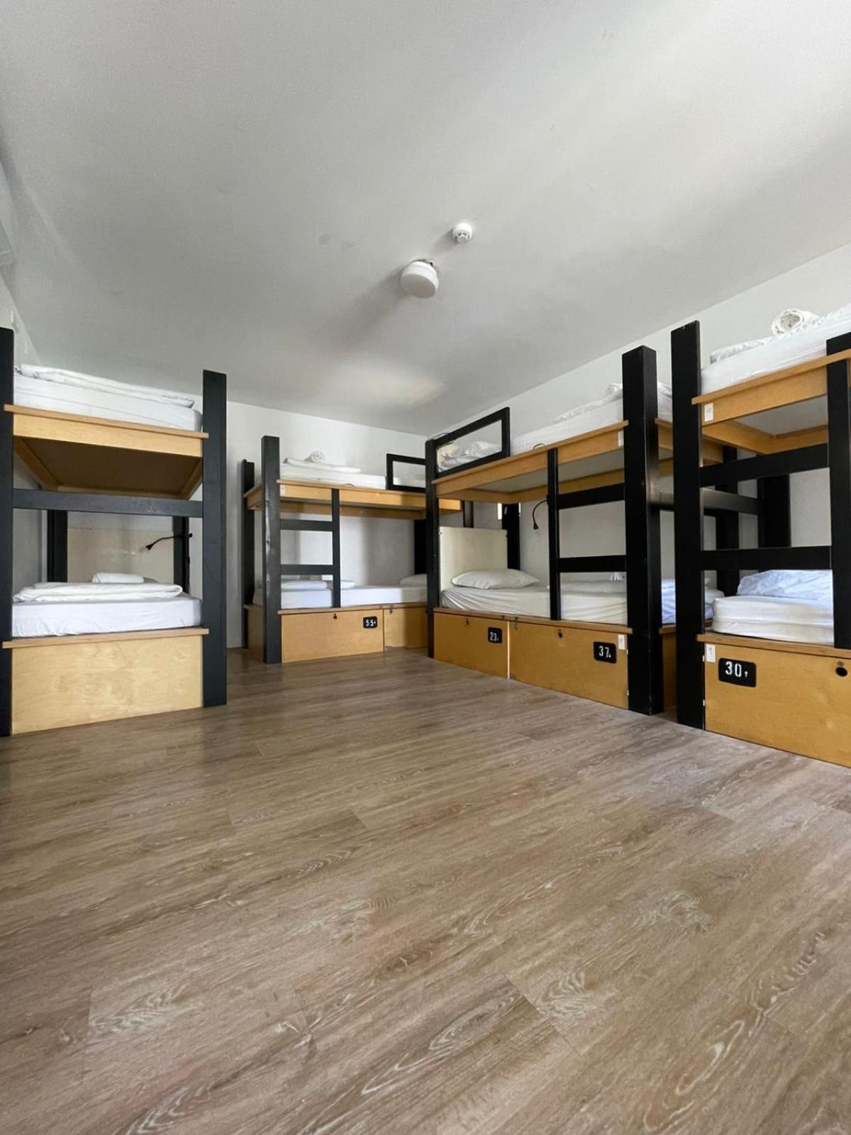 Single Bed in 8-Bed Dormitory Room