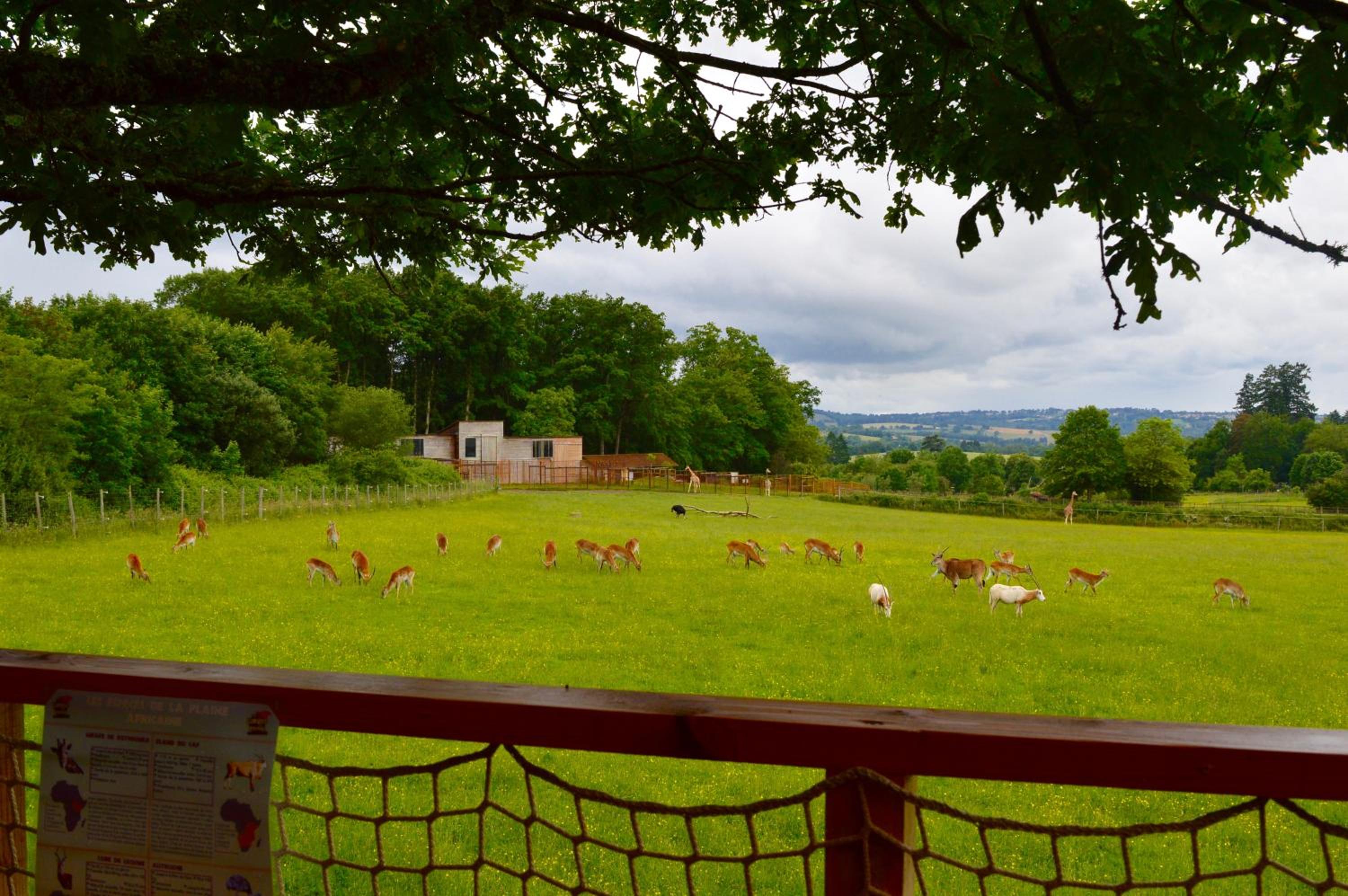 Cosy Lodge photo 3