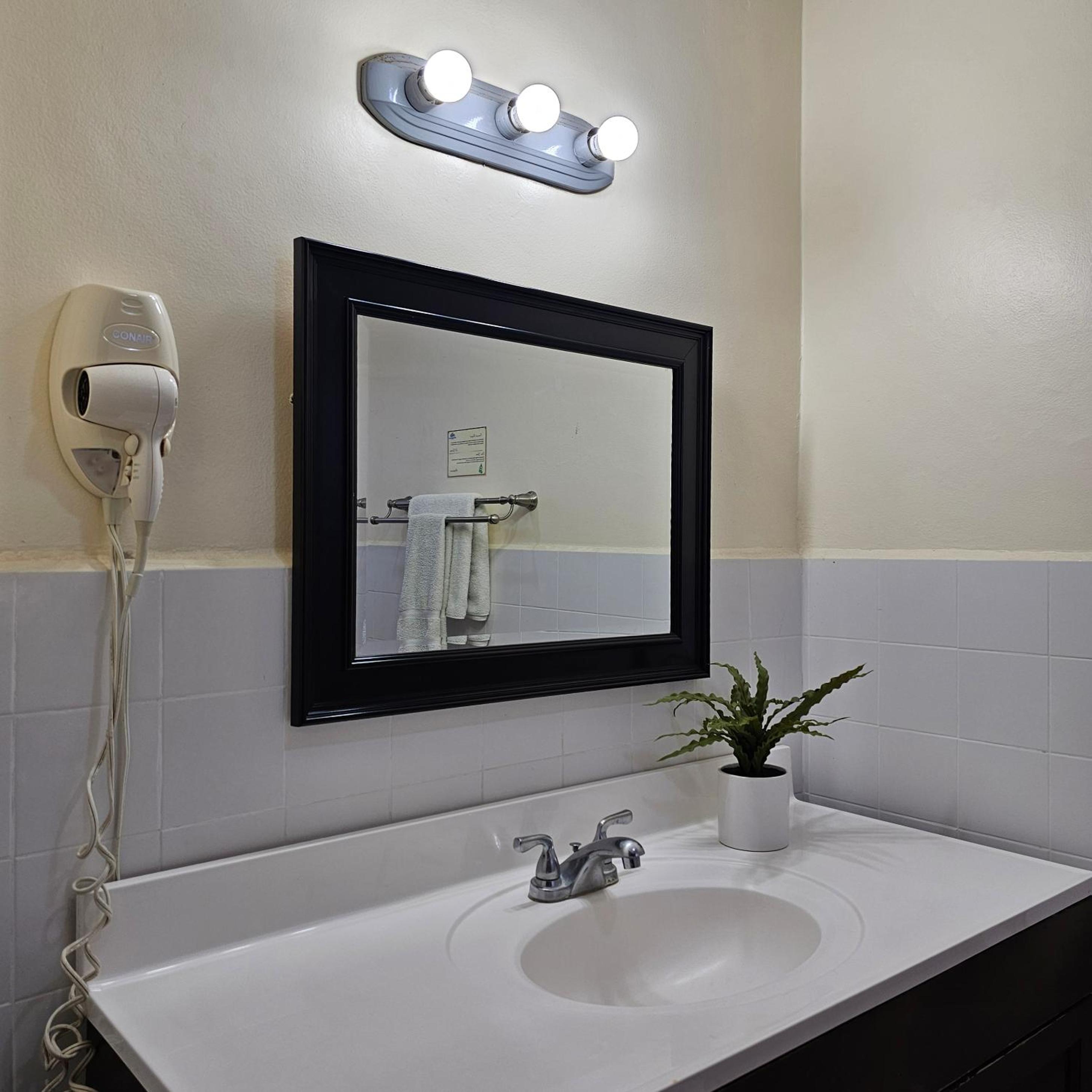 Deluxe King Suite photo 3