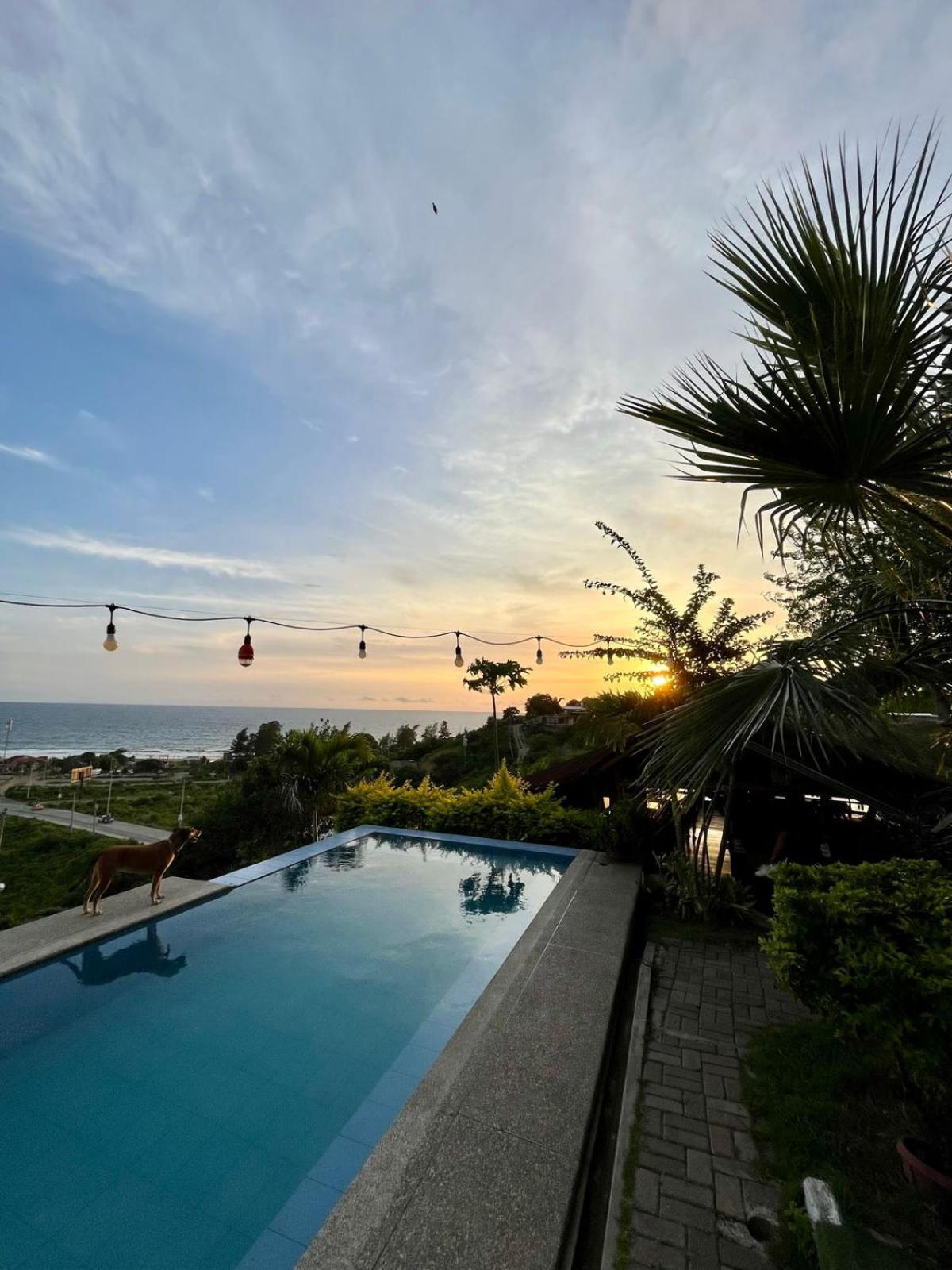 Standard Double or Twin Room with Sea View photo 1
