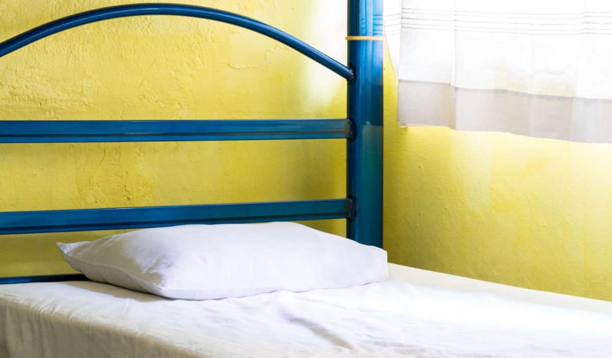 Single Bed in Mixed Dormitory Room photo 1