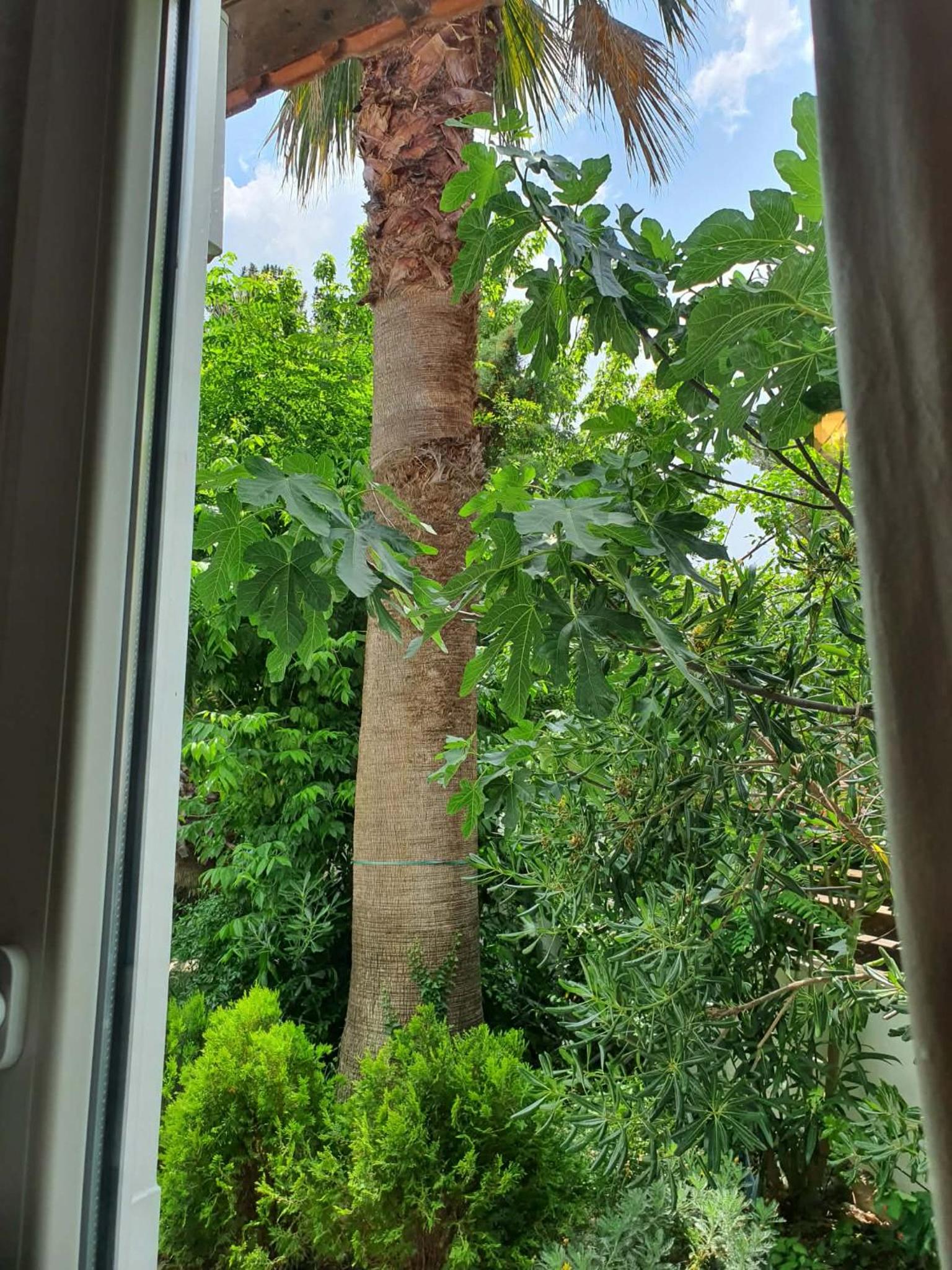 Triple Room with Garden View photo 2