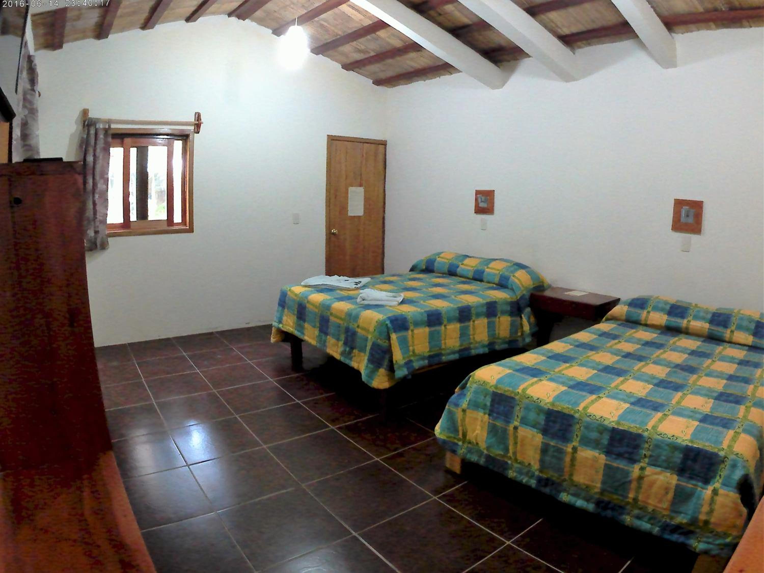 Twin Room - Photo 1