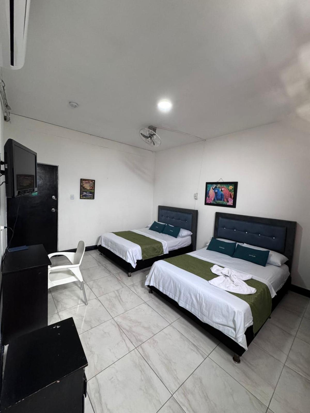 Twin Room photo 2