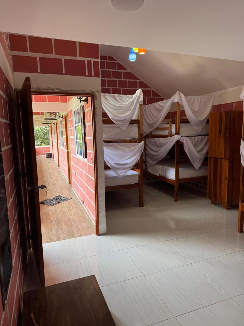 Bed in 6-Bed Female Dormitory Room photo 2