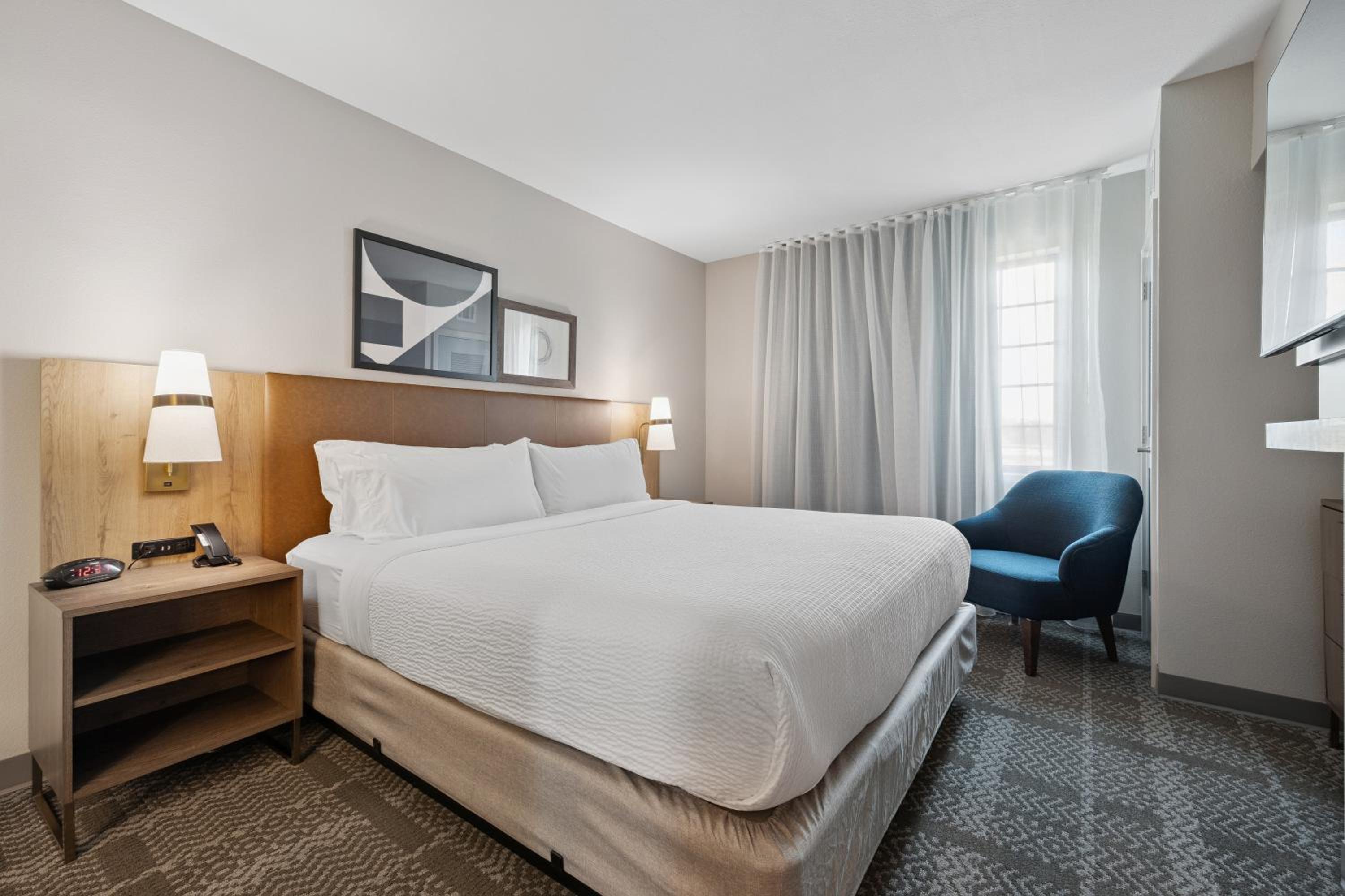 Suite - Photo 1