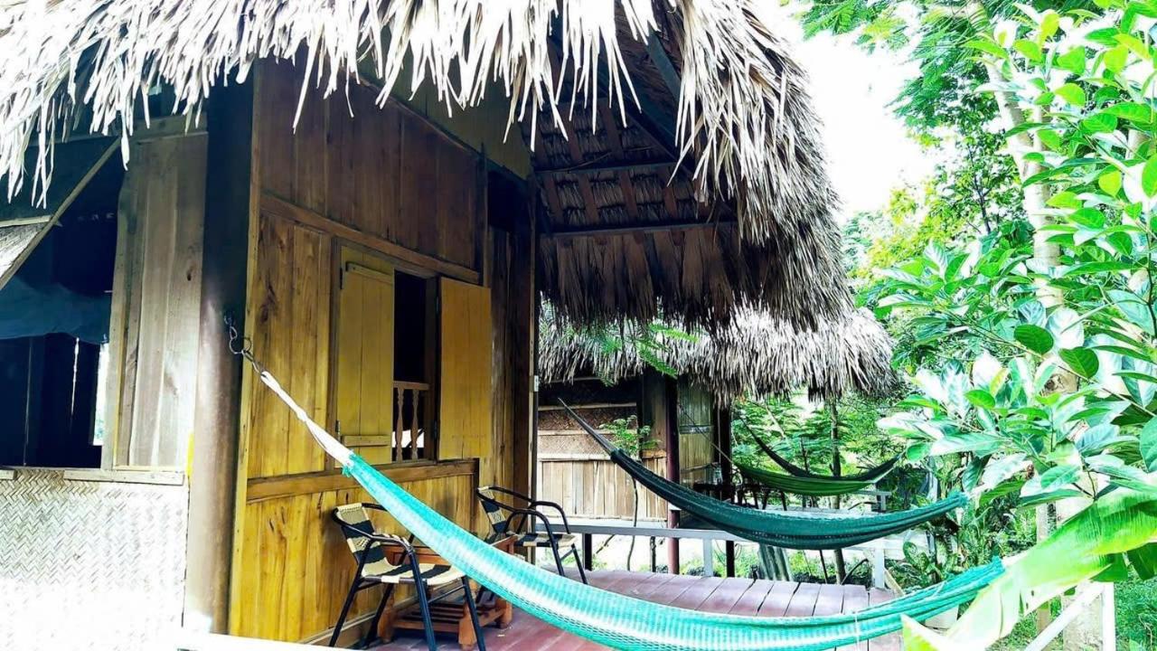 Twin Room with Garden View photo 3
