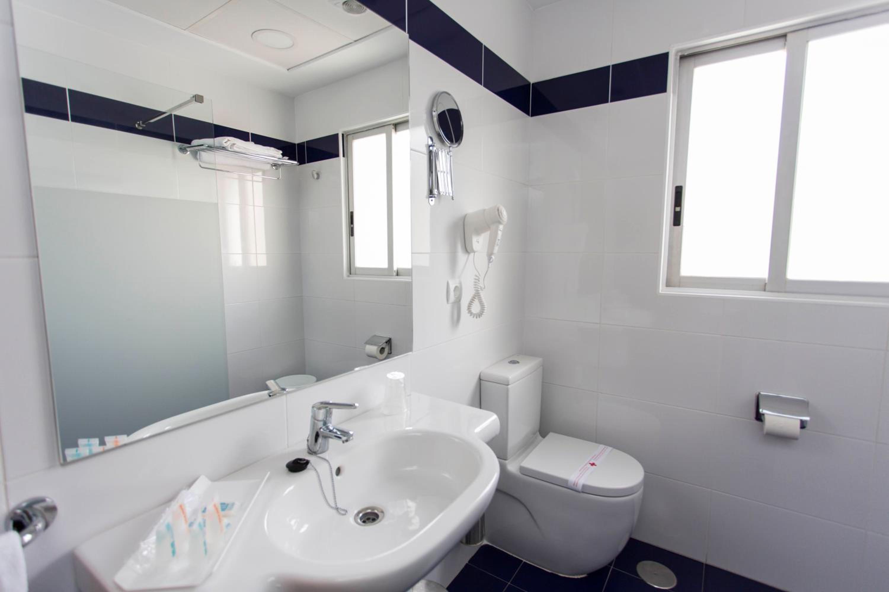 Superior Double or Twin Room (3 adults)