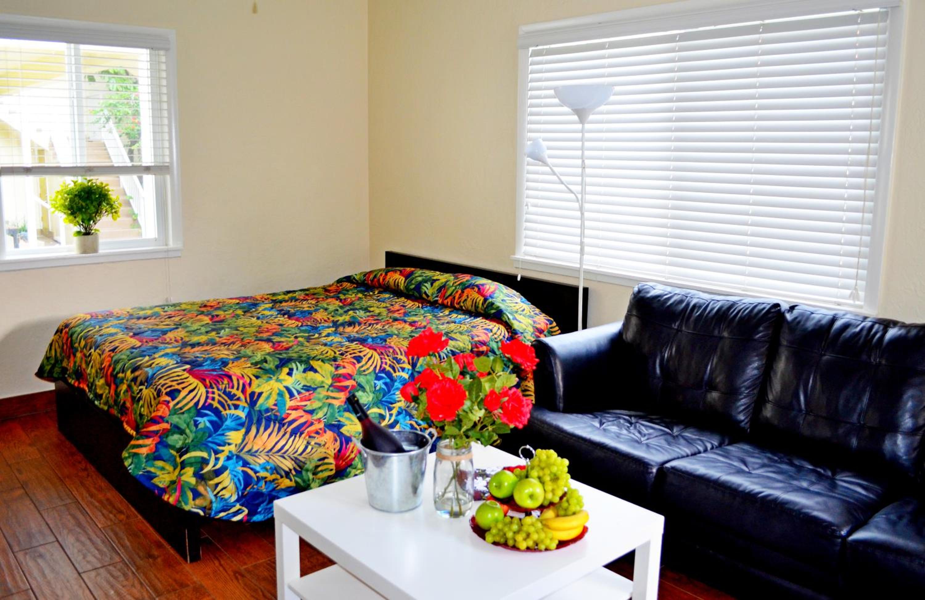 Large Studio - Photo 11
