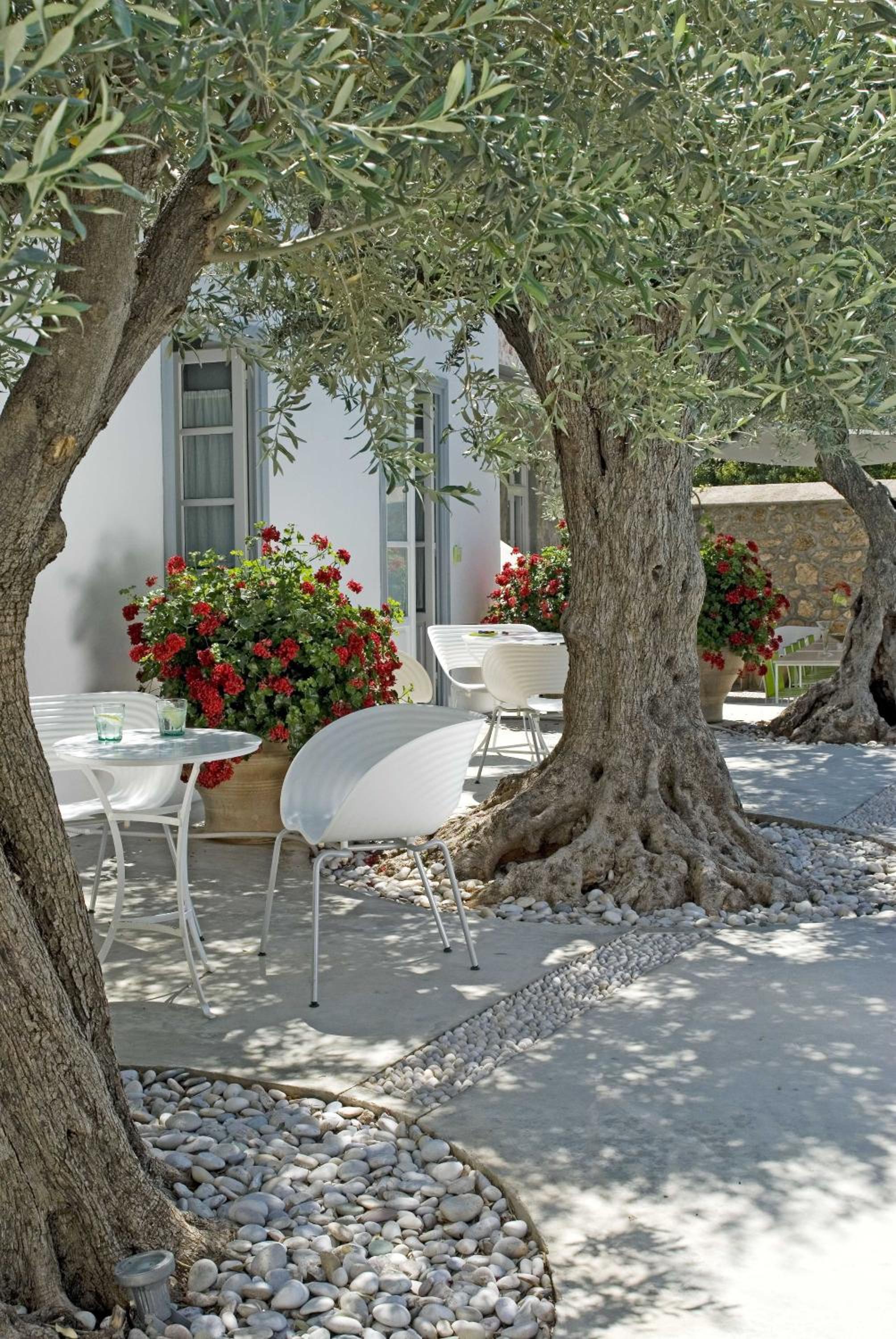 Maisonette - Photo 6