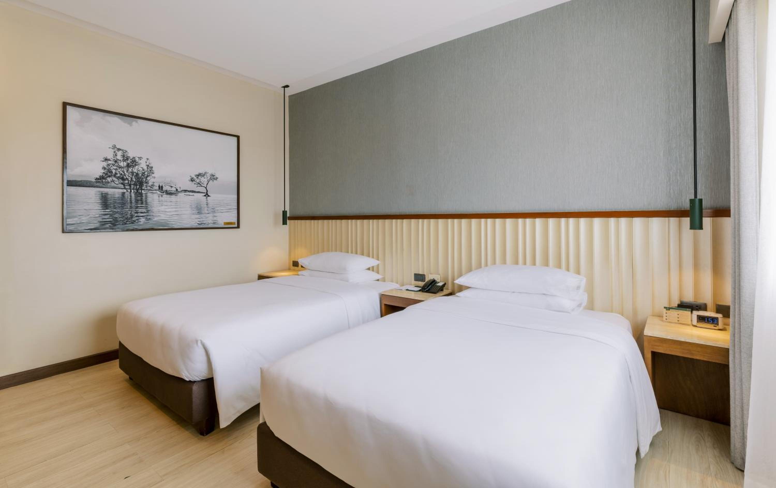 Deluxe Double or Twin Room