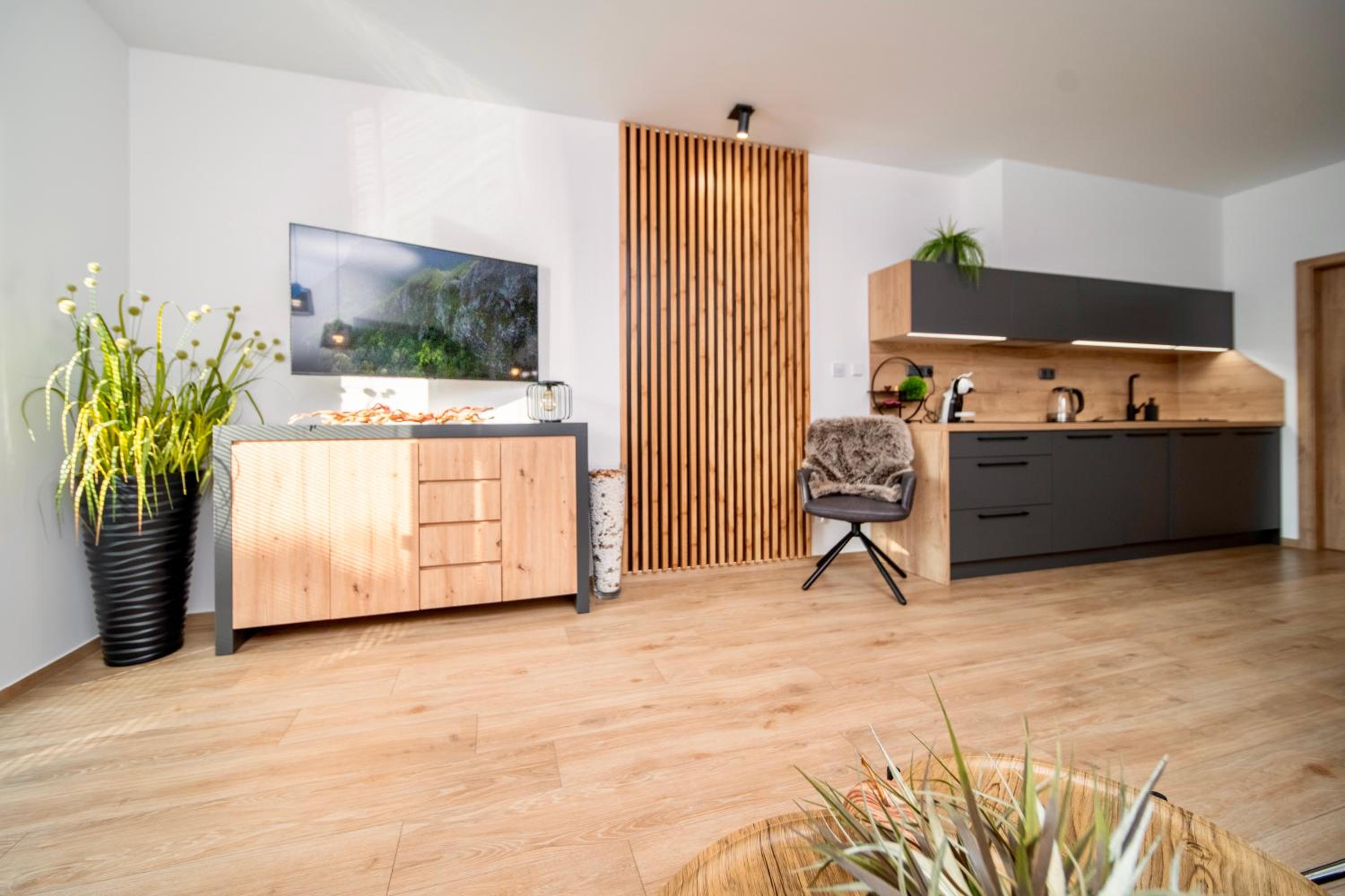 Two-Bedroom Apartment with Terrace photo 3