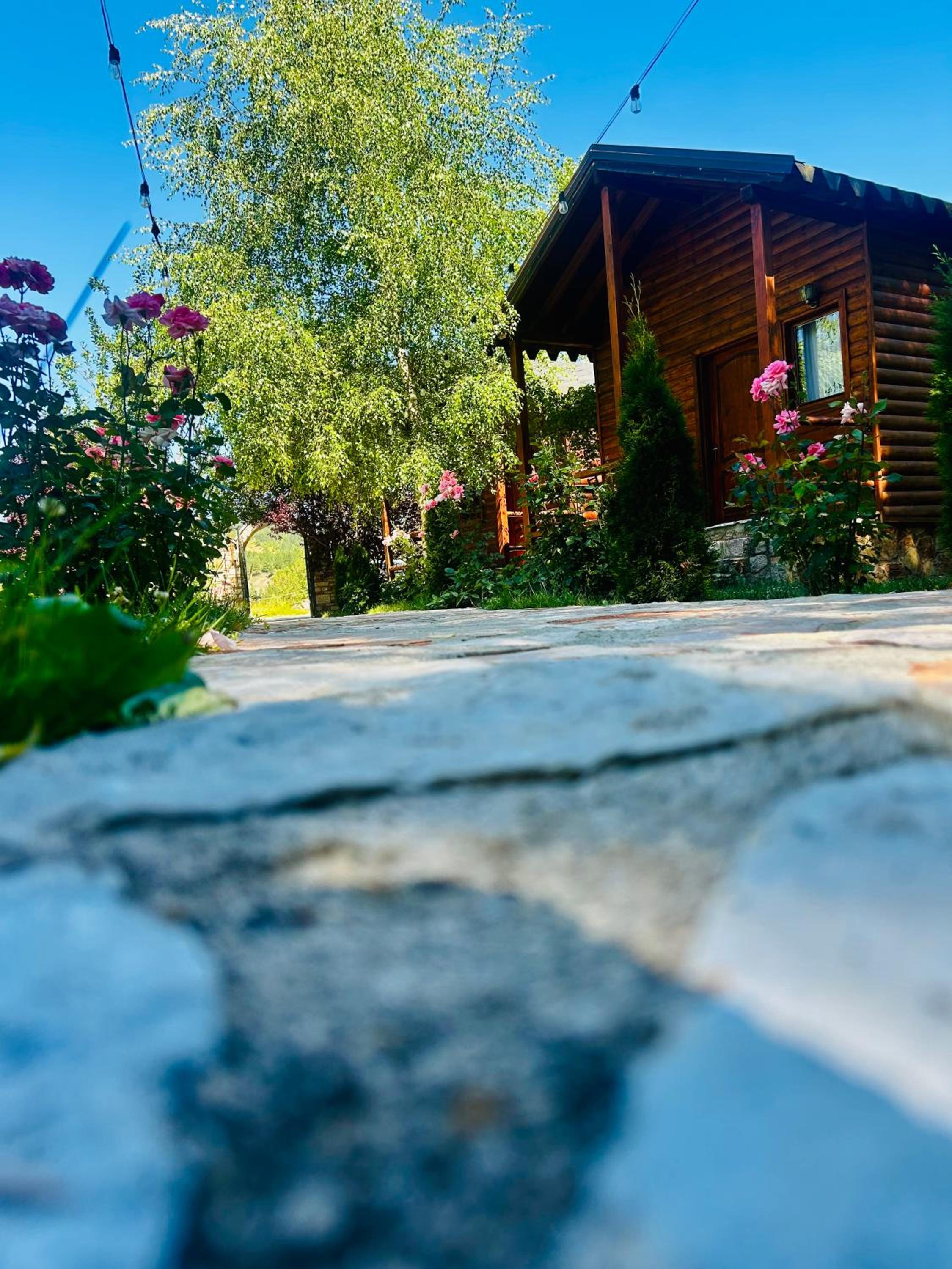 Double Room with Mountain View