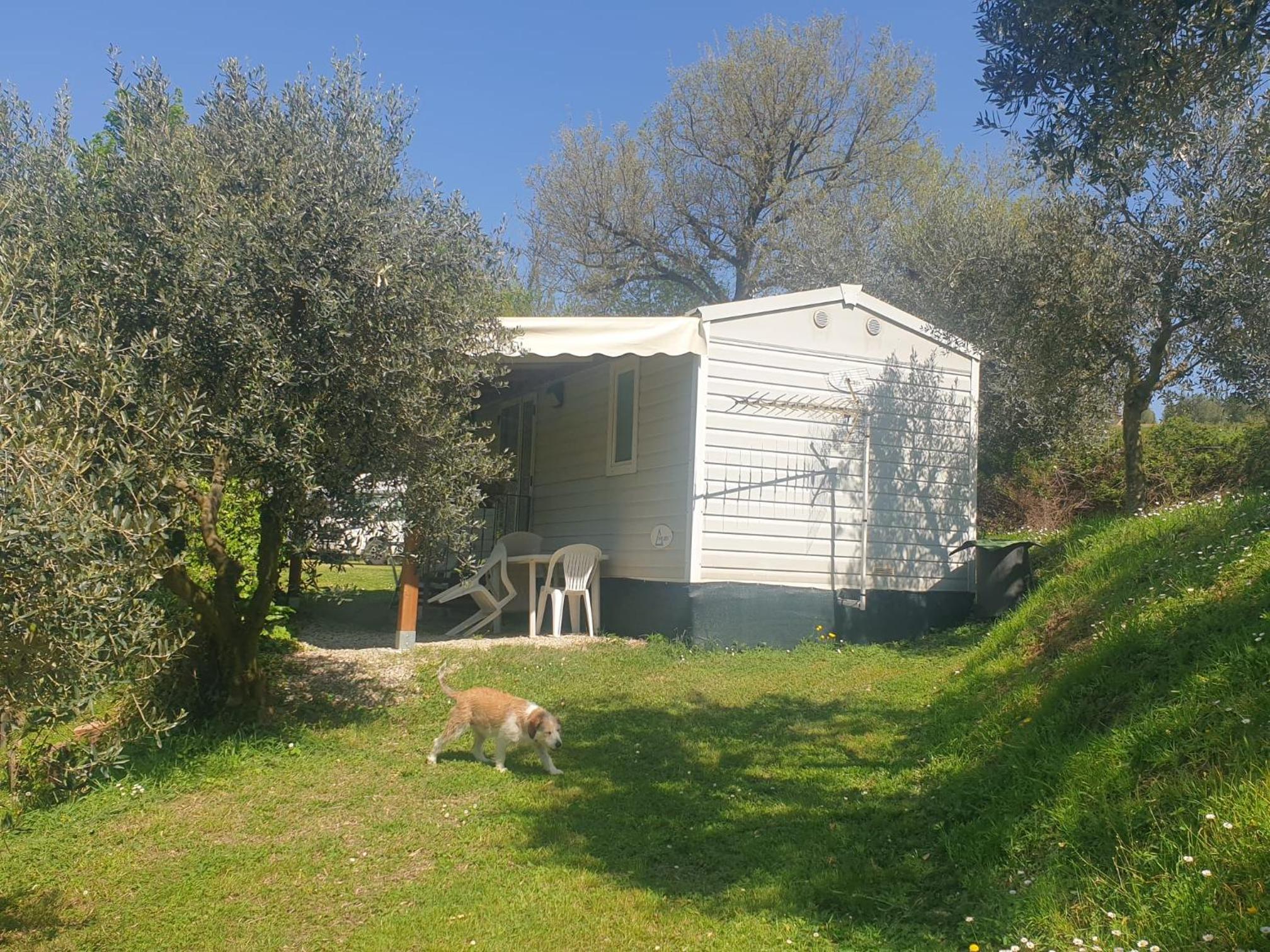 Standard Bungalow photo 1