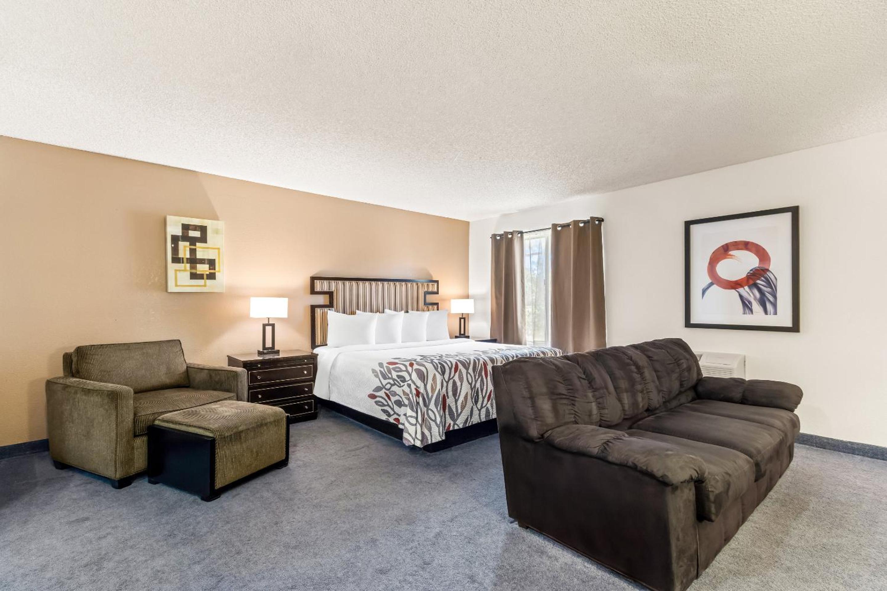 Suite King Room Non-Smoking photo 2