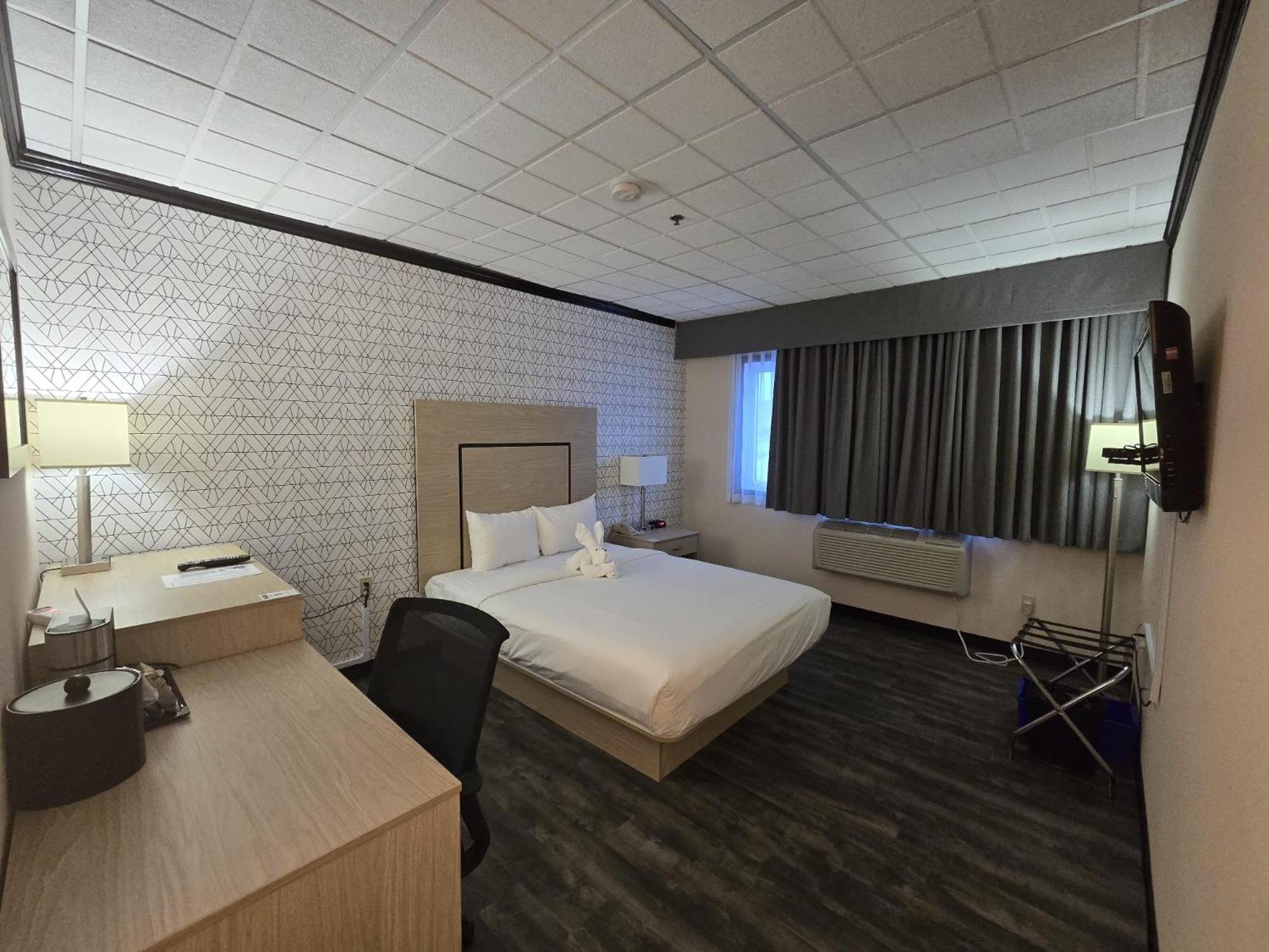 Queen Room with Roll-In Shower - Mobility Accessible/Non-Smoking photo 3