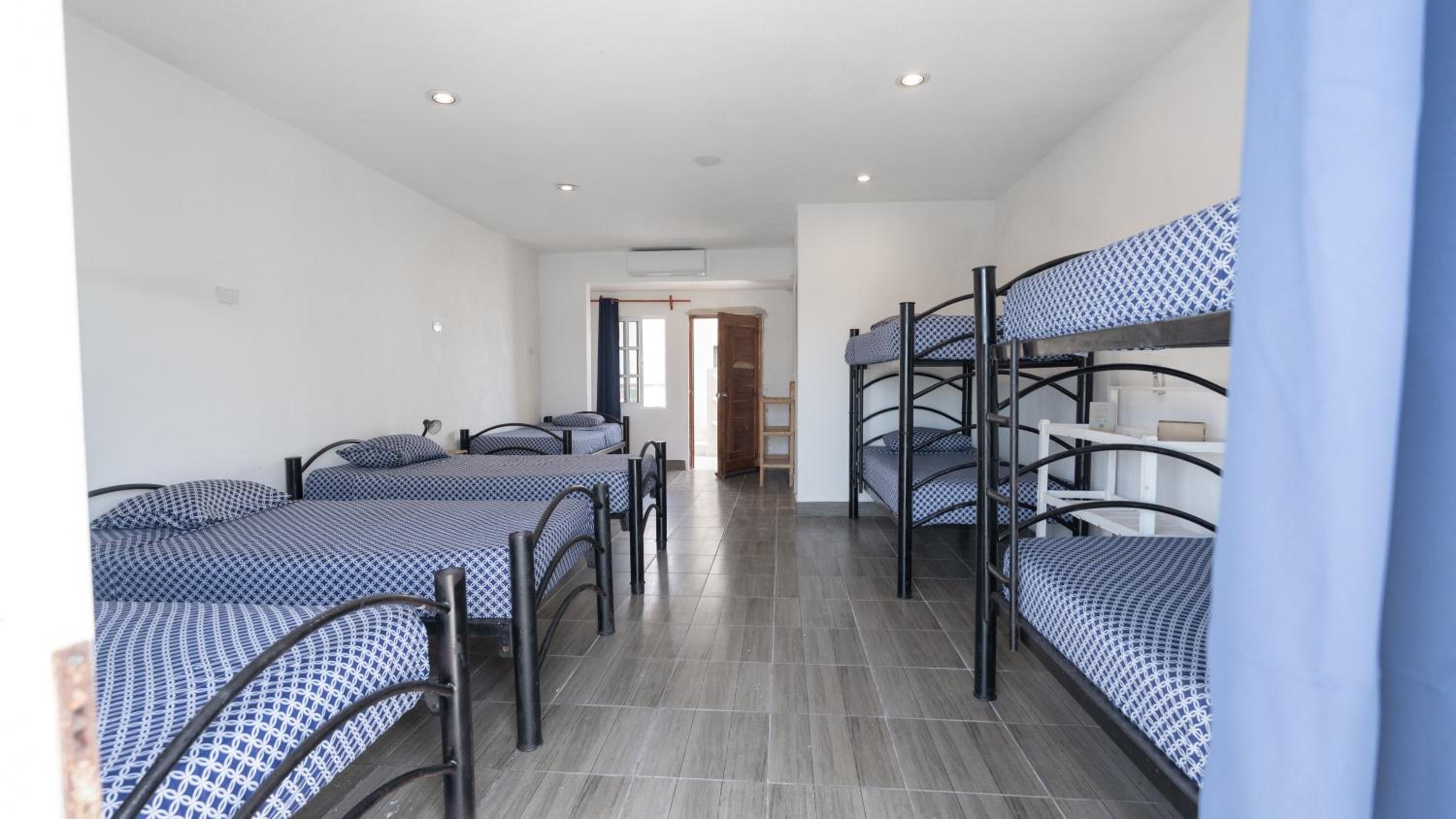 Bed in 8-Bed Mixed Dormitory Room