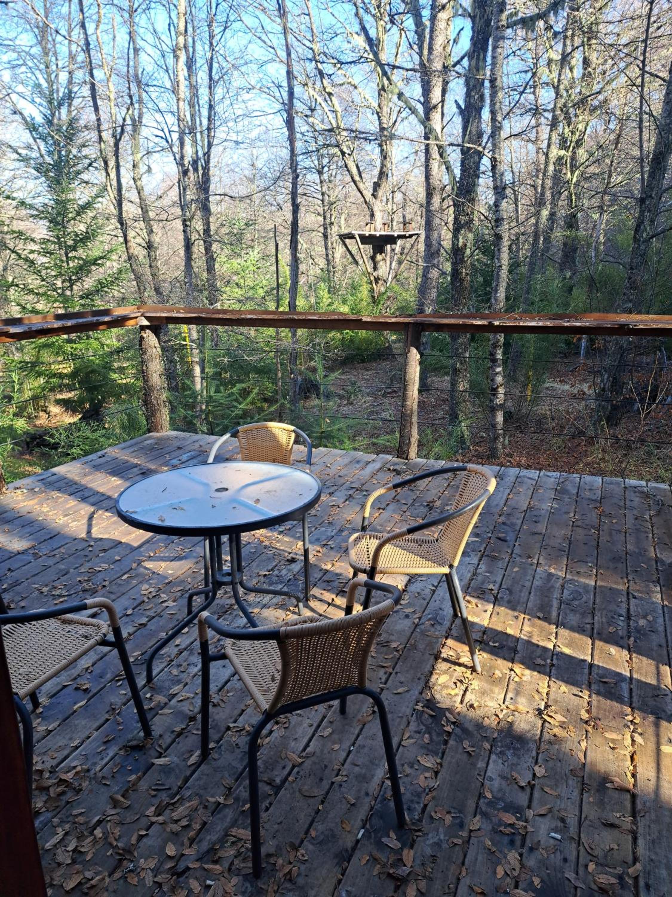Three-Bedroom Chalet photo 2