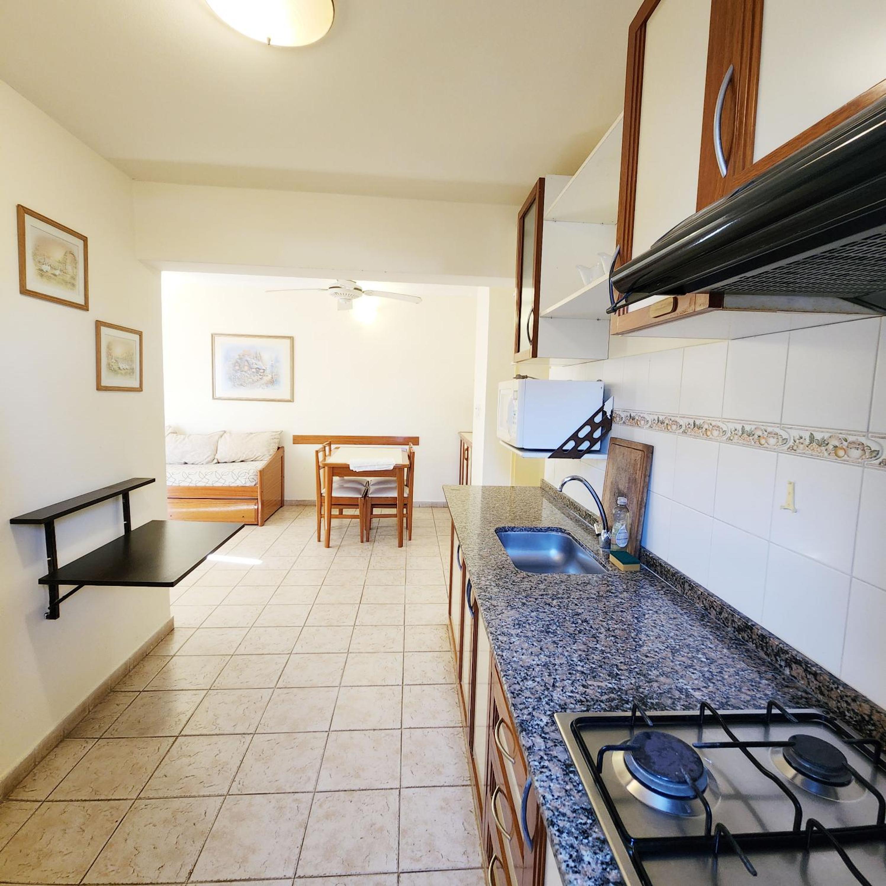 One-Bedroom Apartment with Lake View photo 3