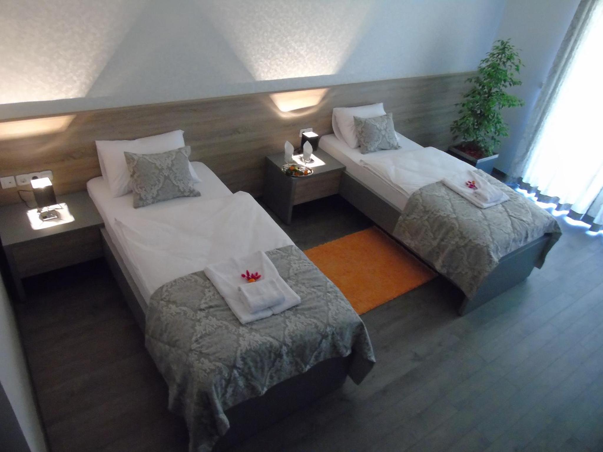 Twin Room with Terrace photo 2
