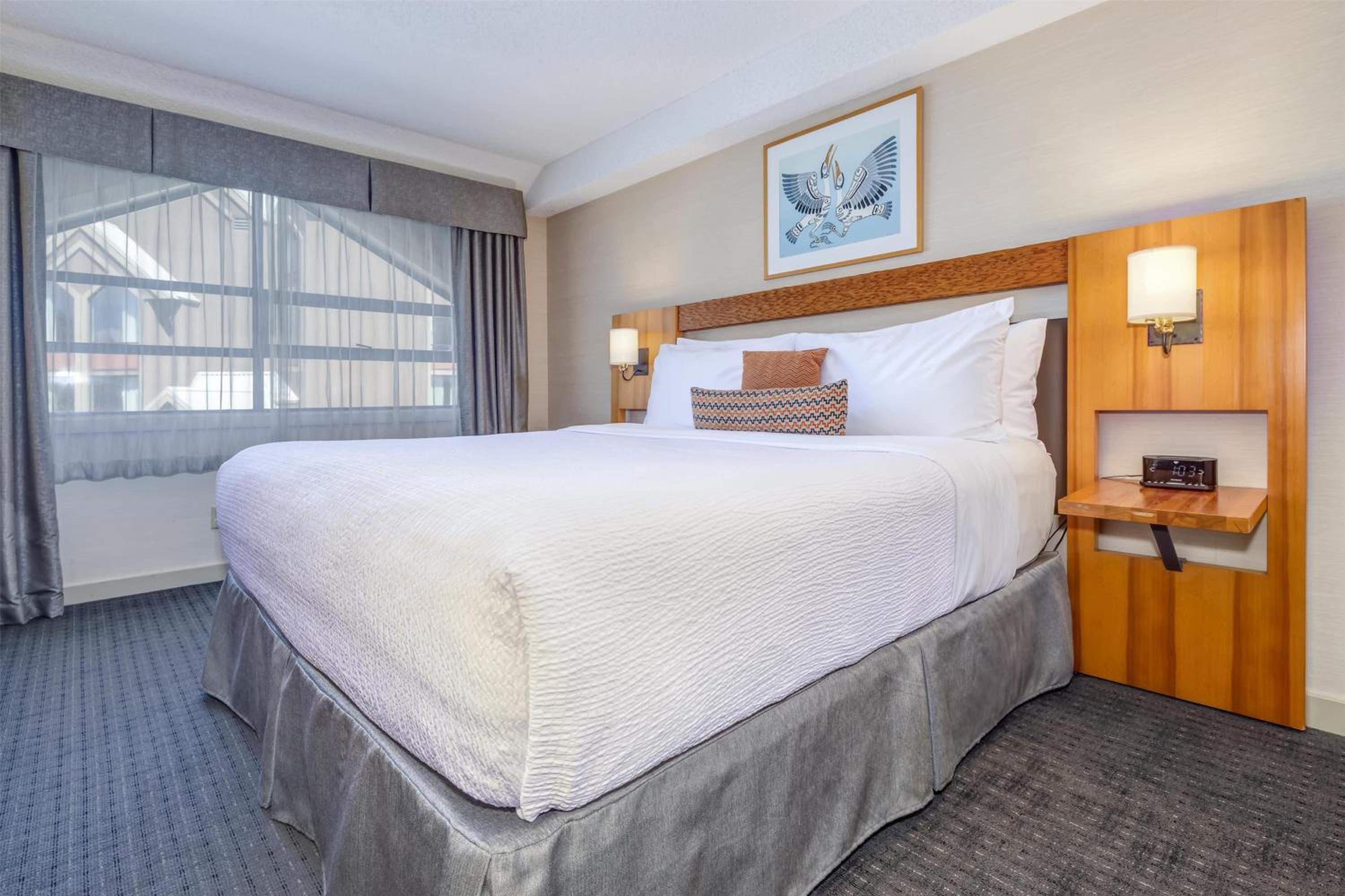 Coast Premium, King - Photo 1