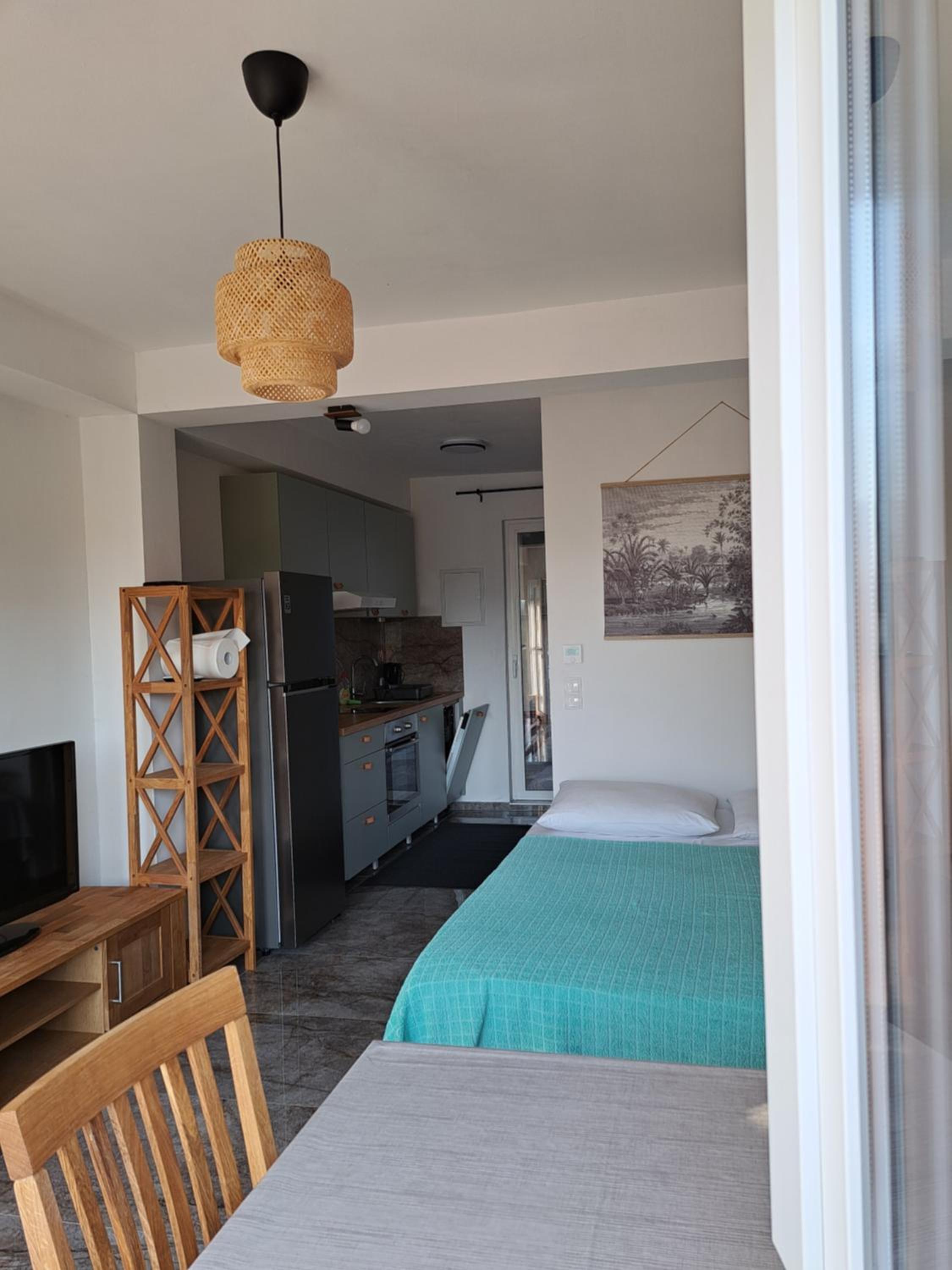 Studio with Terrace photo 2