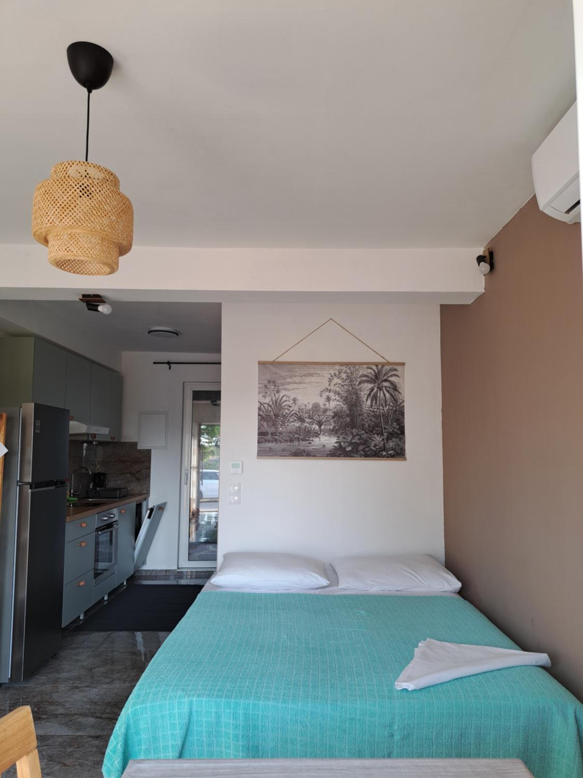 Studio with Terrace photo 3
