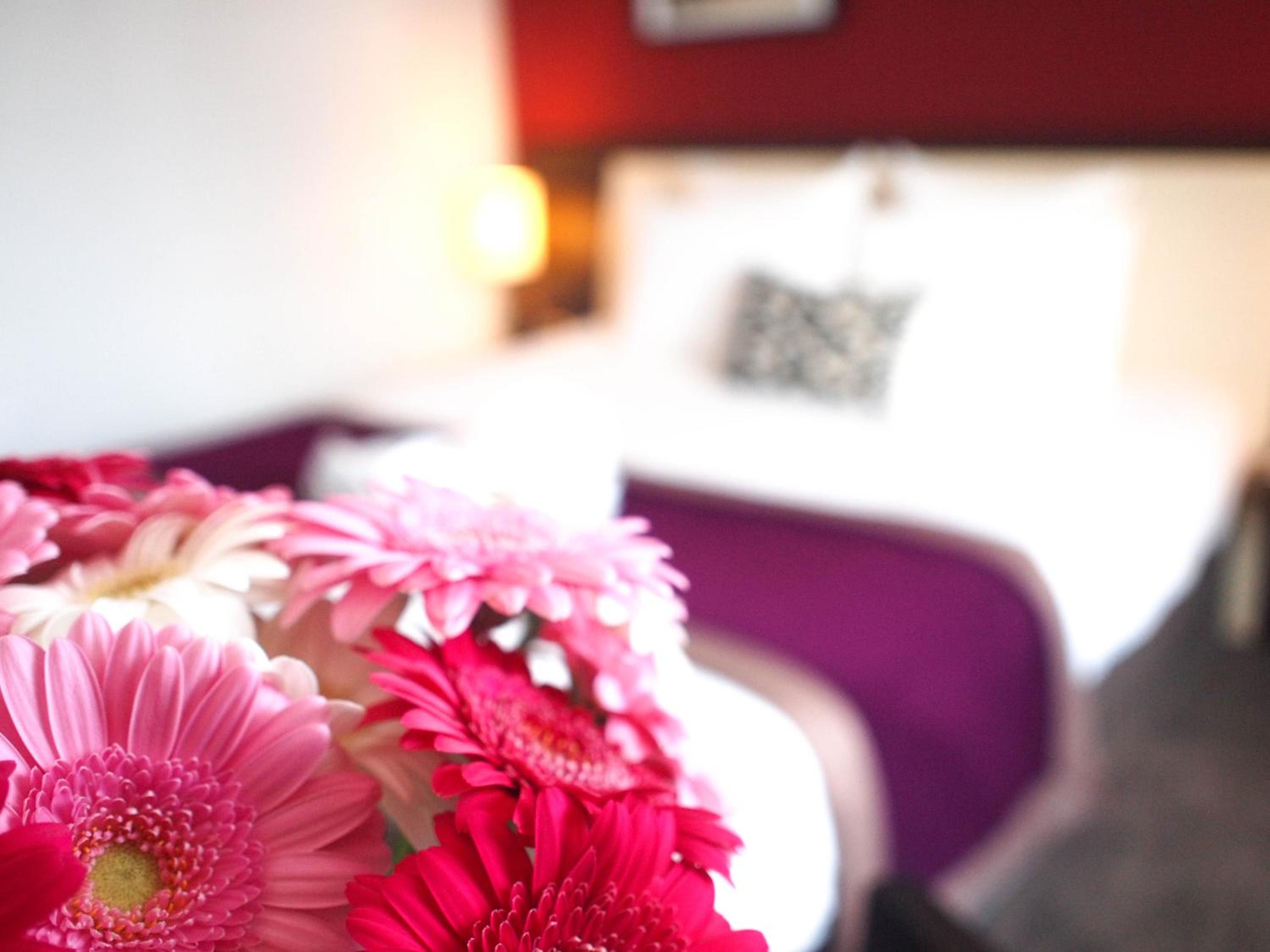 Standard Room 2 Singles Beds - Photo 1