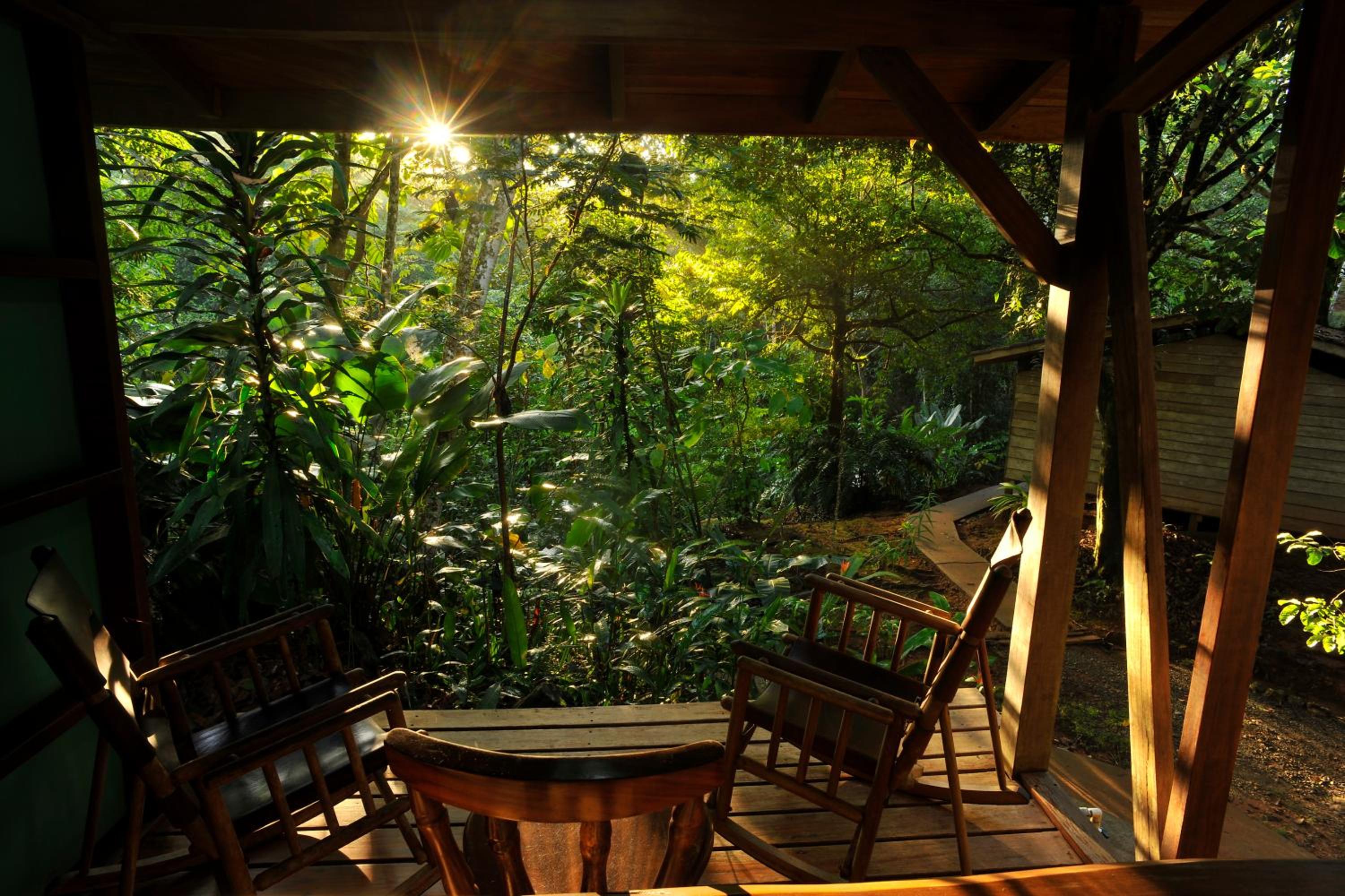 Double or Twin Room with Garden View photo 2