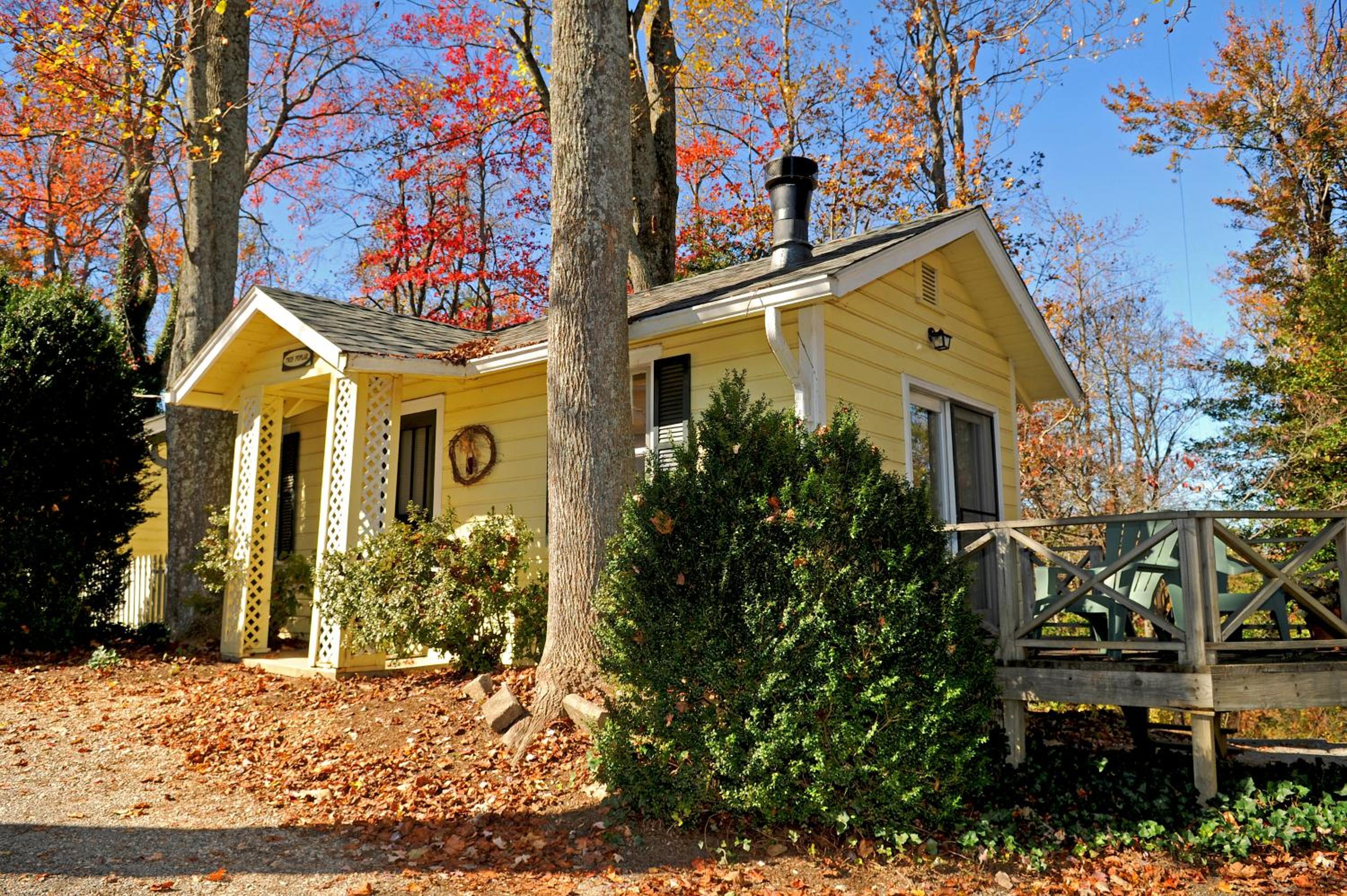 Twin Poplar Cottage photo 3