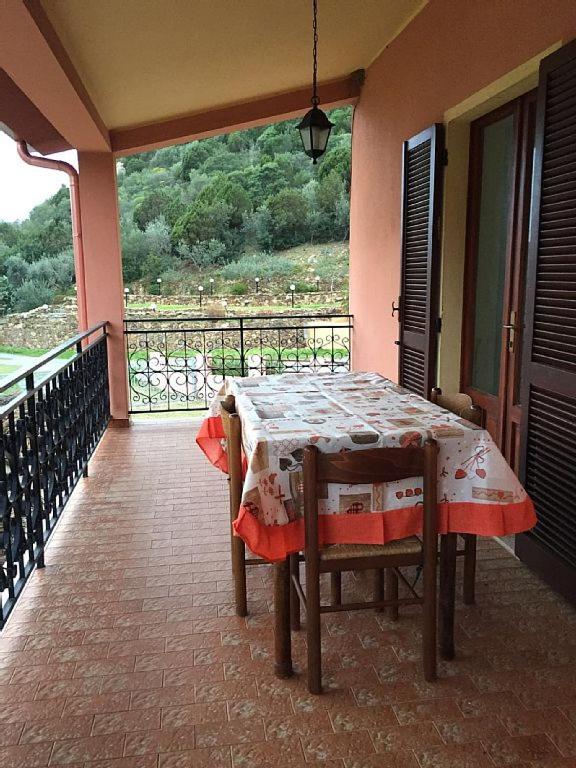 Apartment with Terrace photo 3