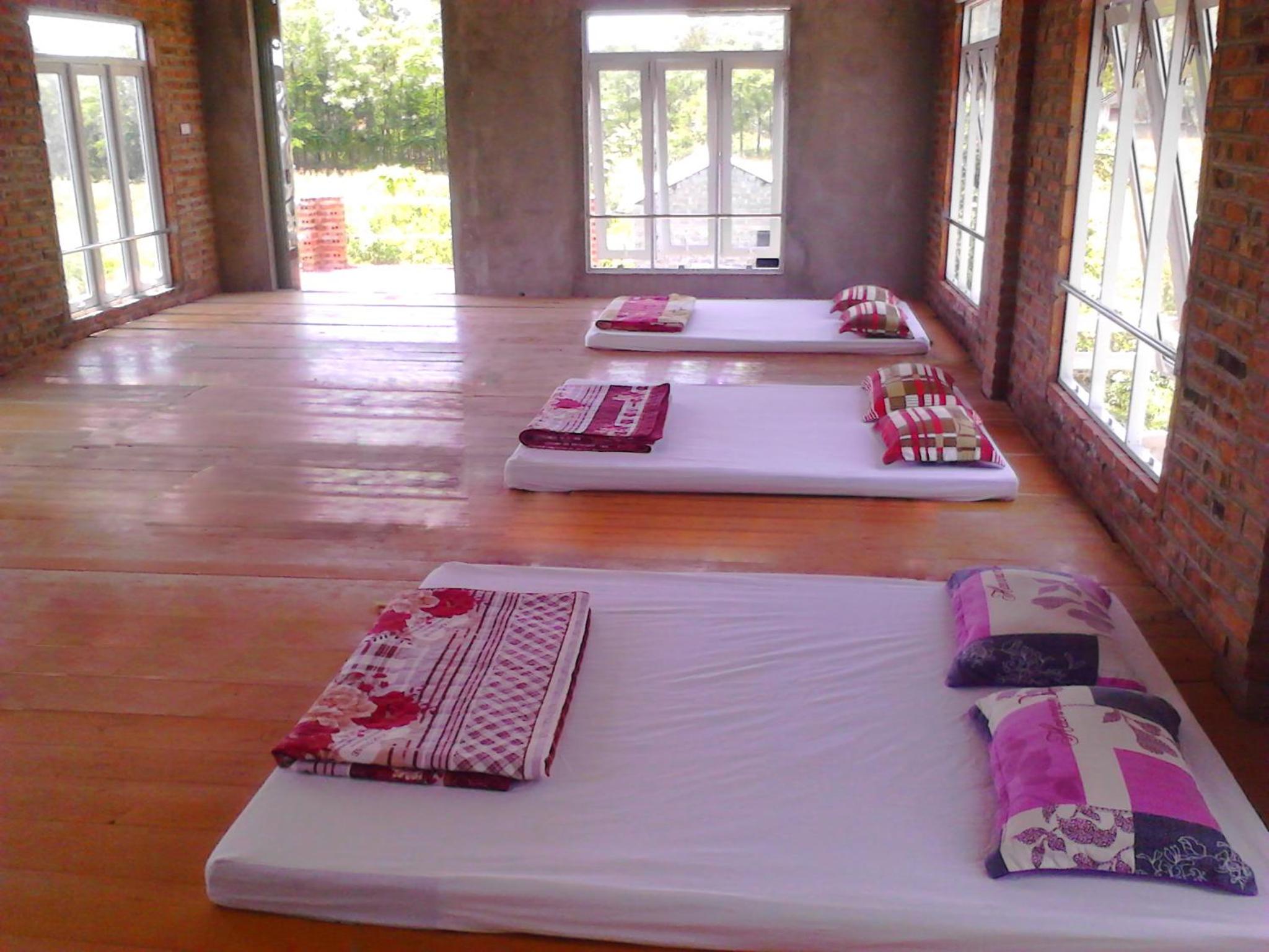 Single Bed in Mixed Dormitory Room photo 1