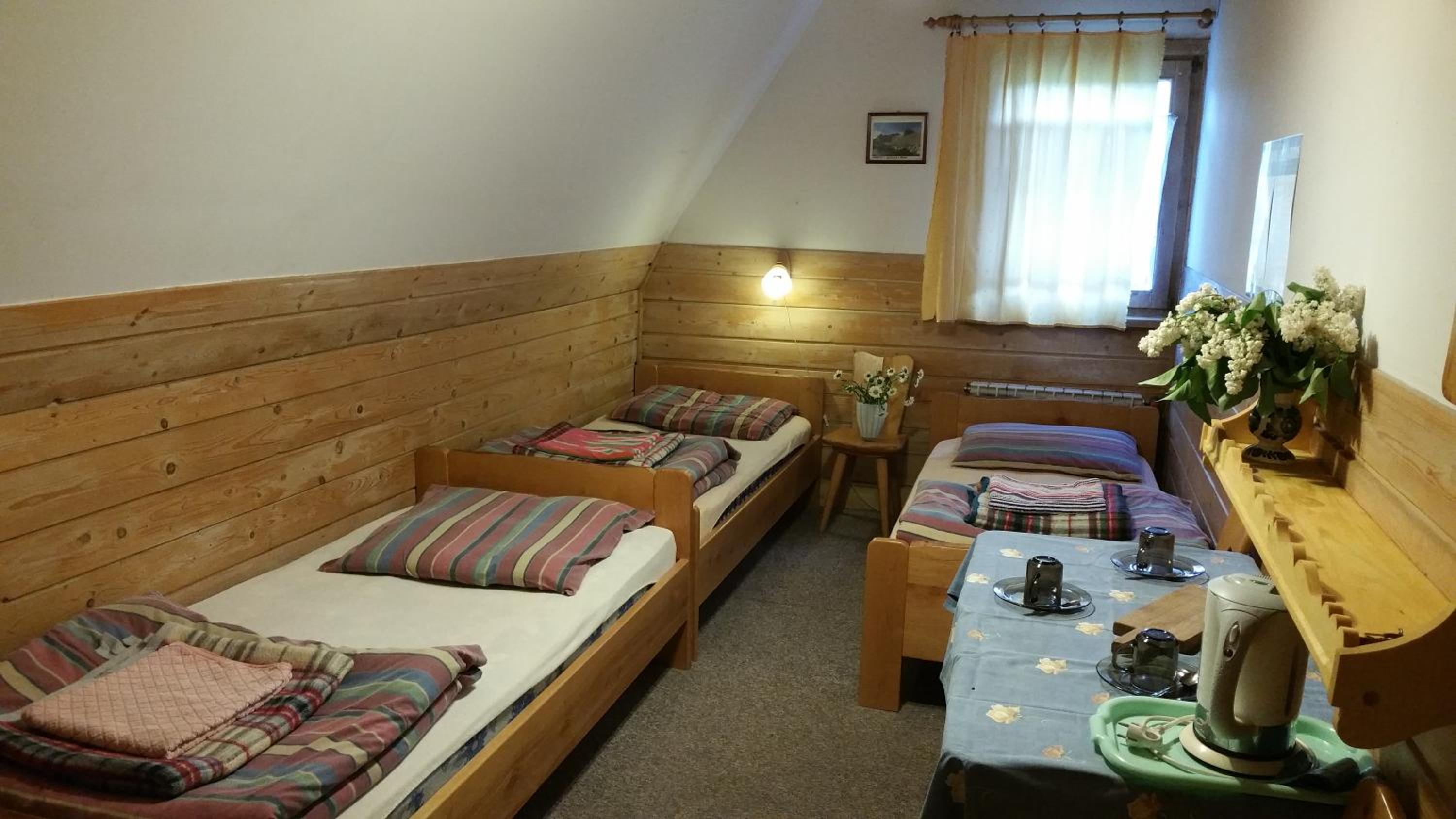 Basic Triple Room with View