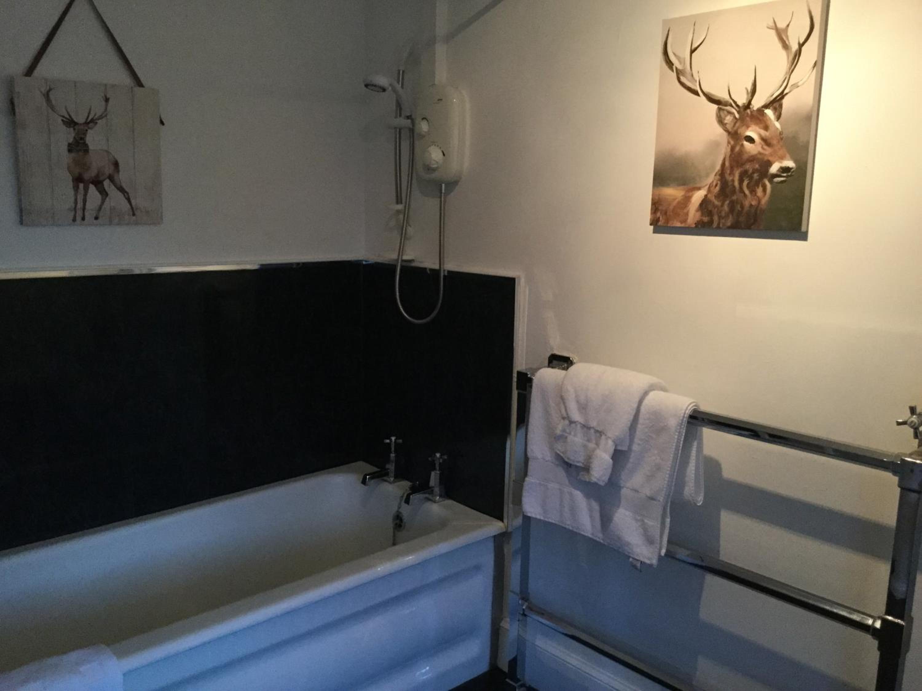 Deluxe Family Suite photo 3