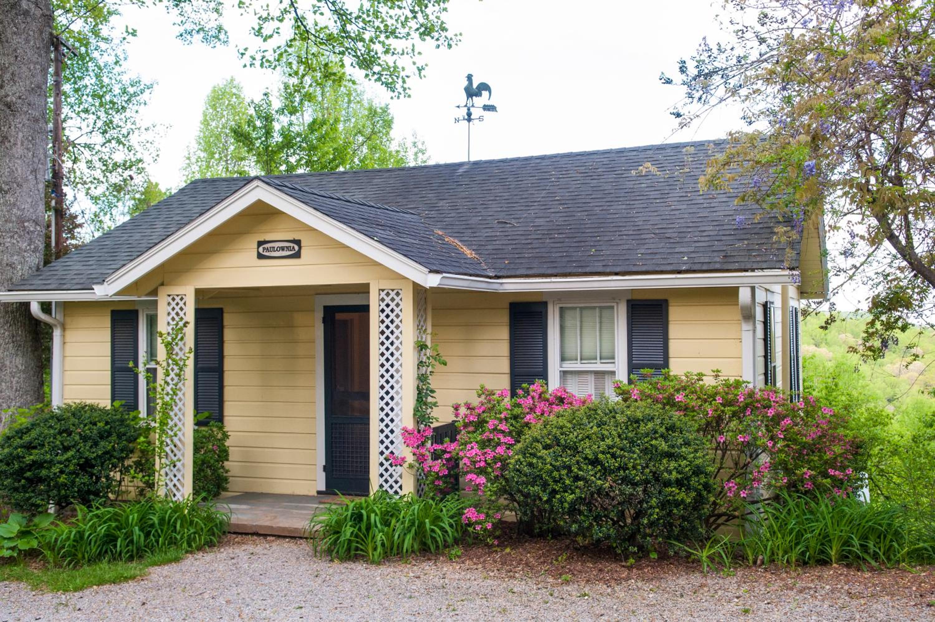 The Paulownia Cottage photo 2