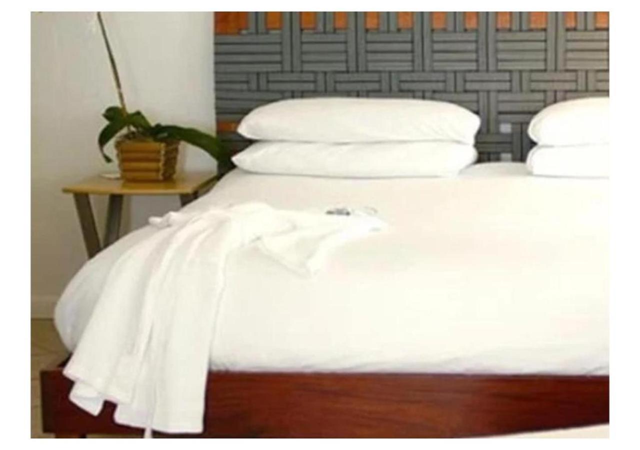 Sea Turtle Suite photo 2