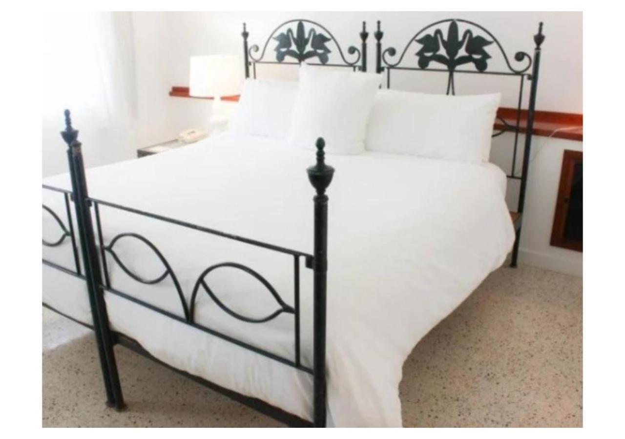 Sea Turtle Suite photo 3
