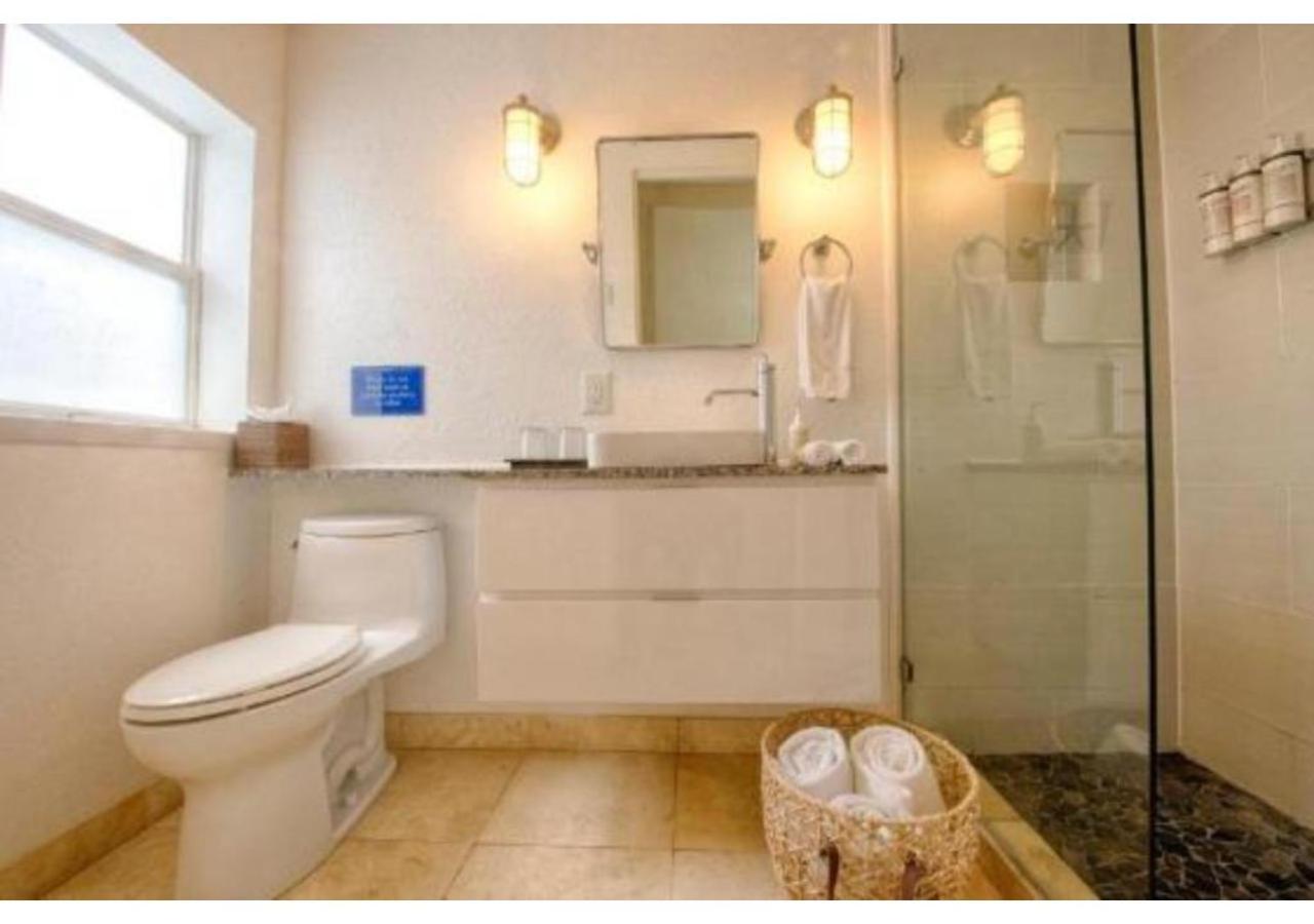 Sea Turtle Suite