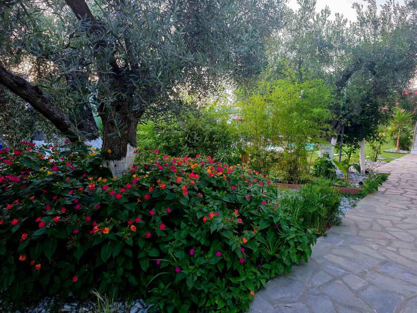 Apartment with Garden View