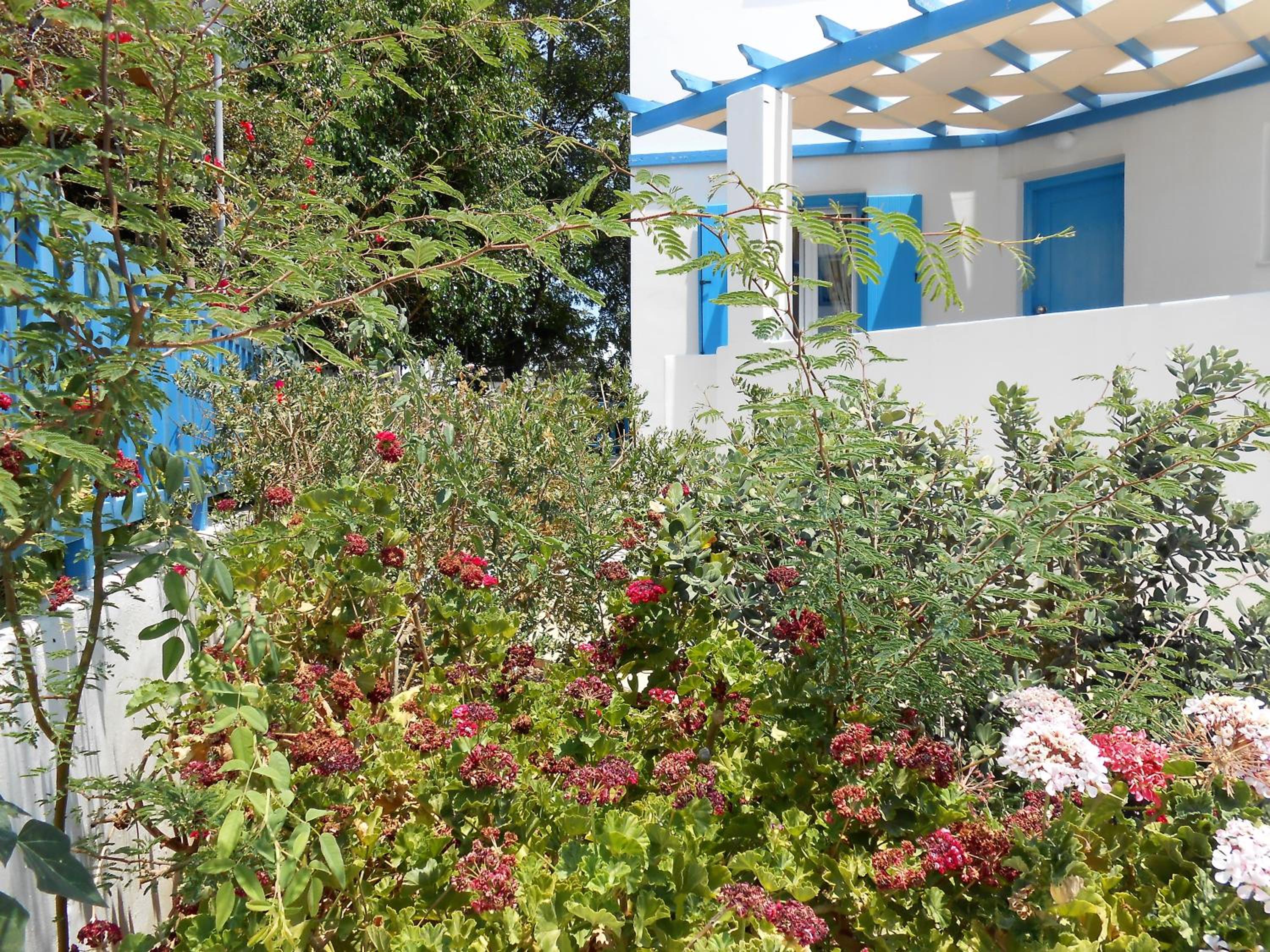 Studio with Garden View photo 2