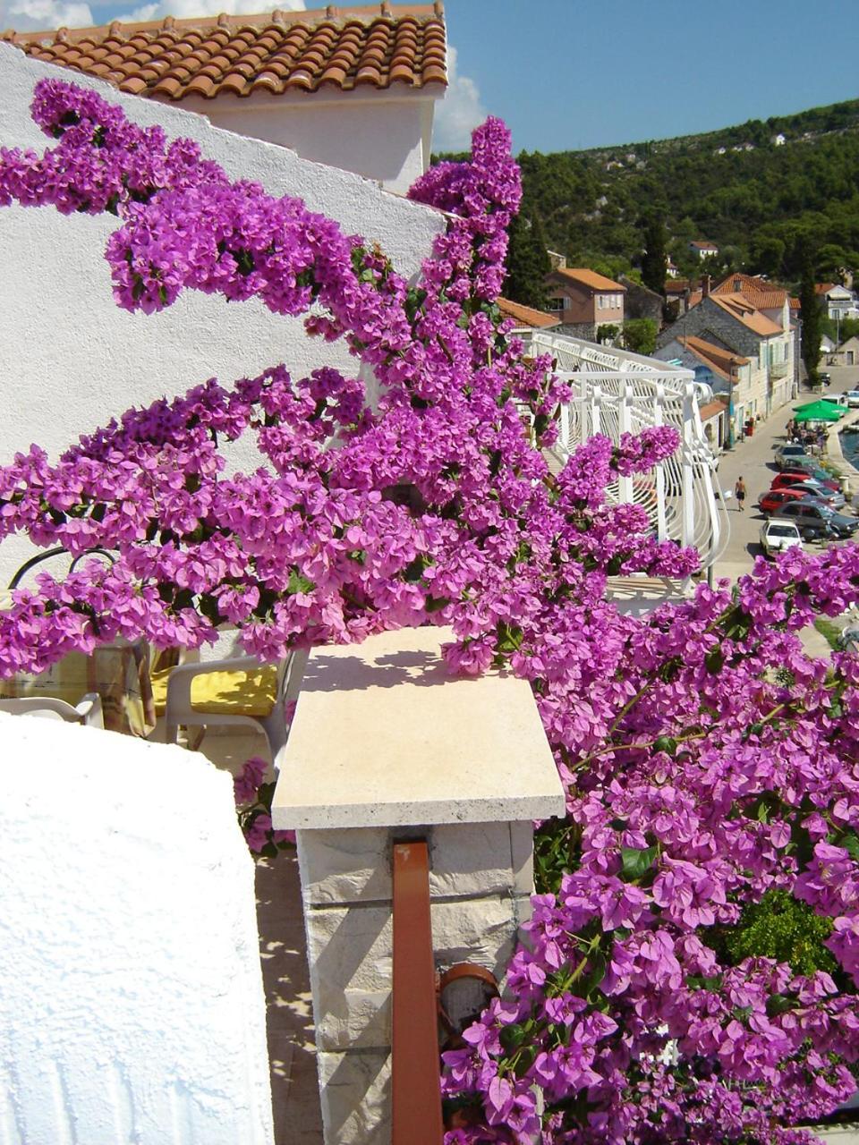 Apartment with Sea View and Terrace photo 2