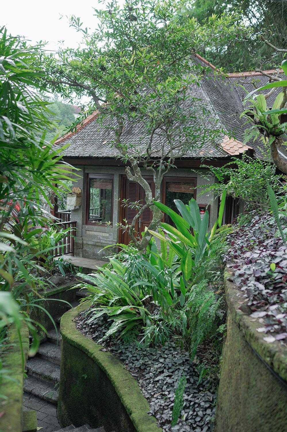 Treetops Lodge with Afternoon Tea photo 2
