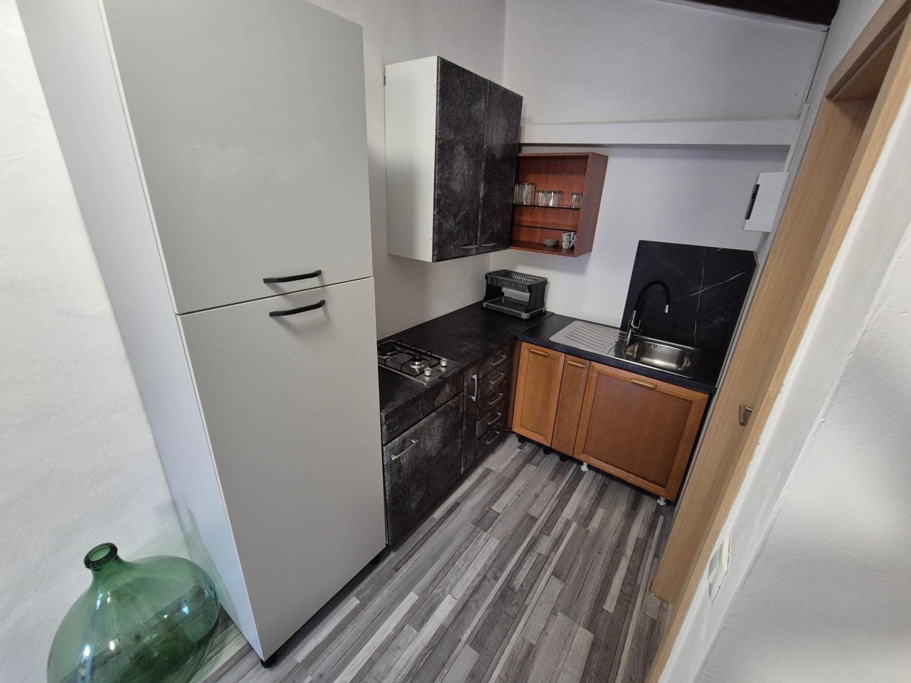 One-Bedroom Standard Apartment photo 3