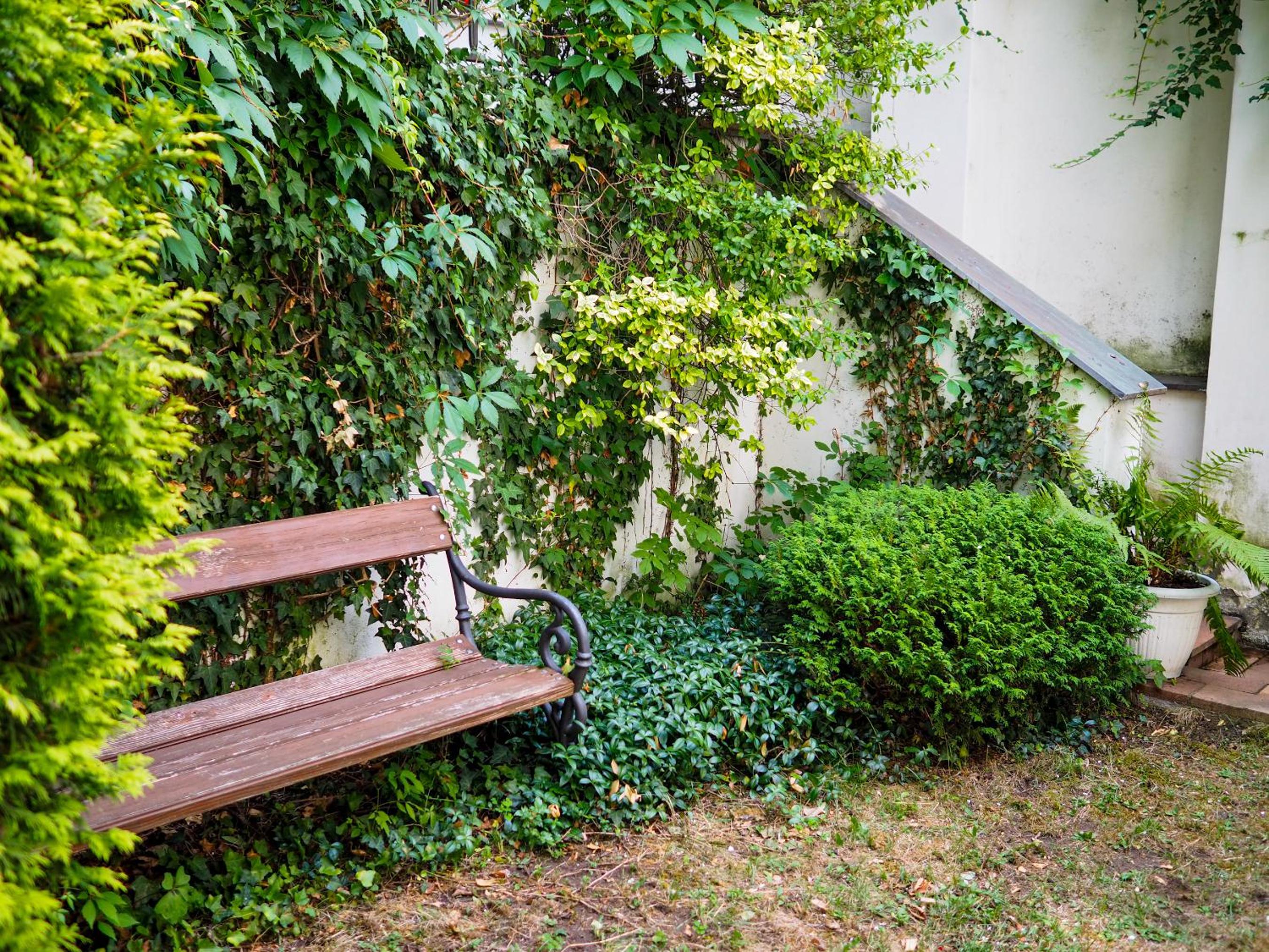Double Room with Garden Access