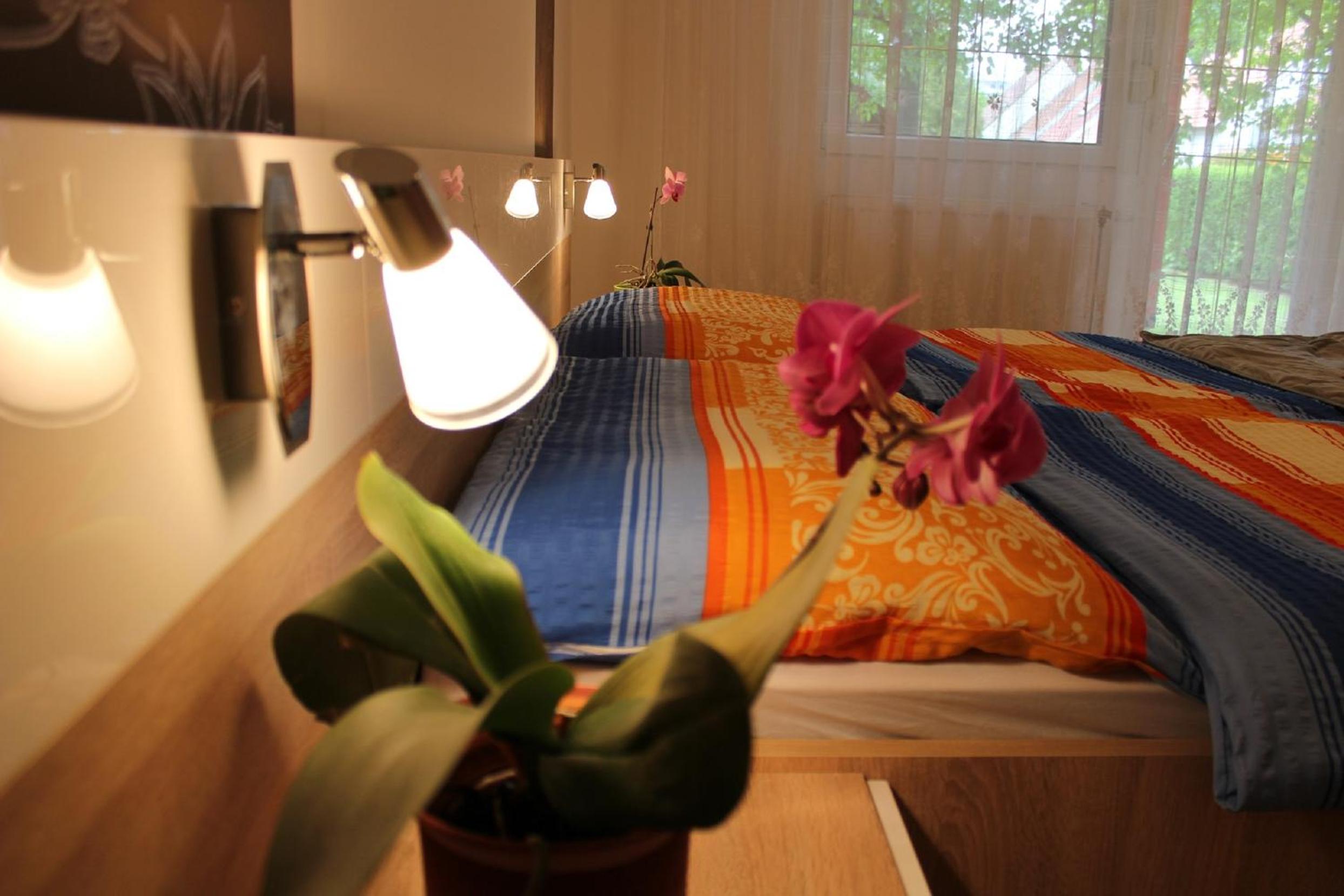 Studio Apartment photo 1