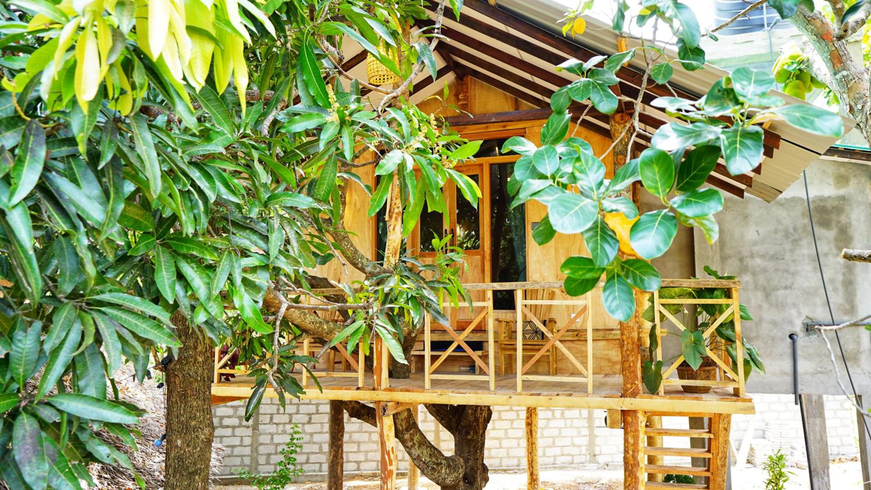 Chalet photo 2